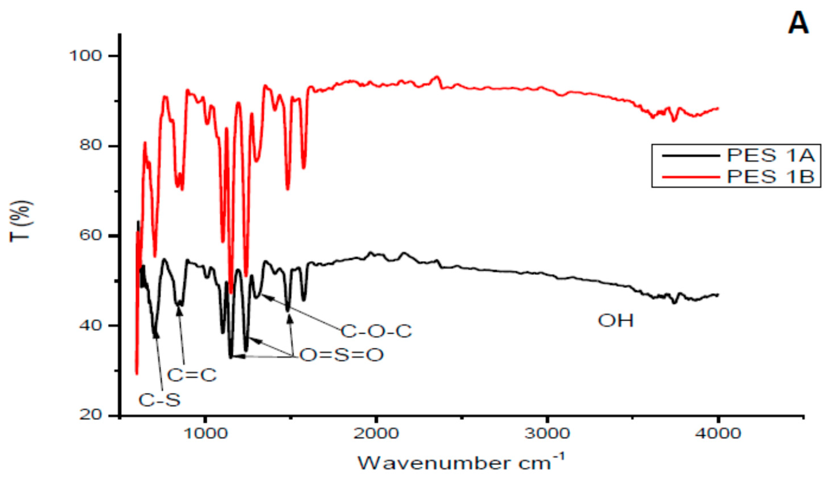 Membranes 10 00052 g002a 550