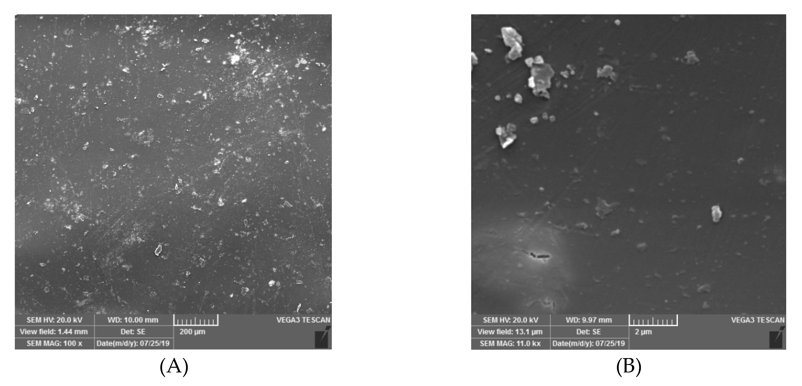 Membranes 10 00055 g003