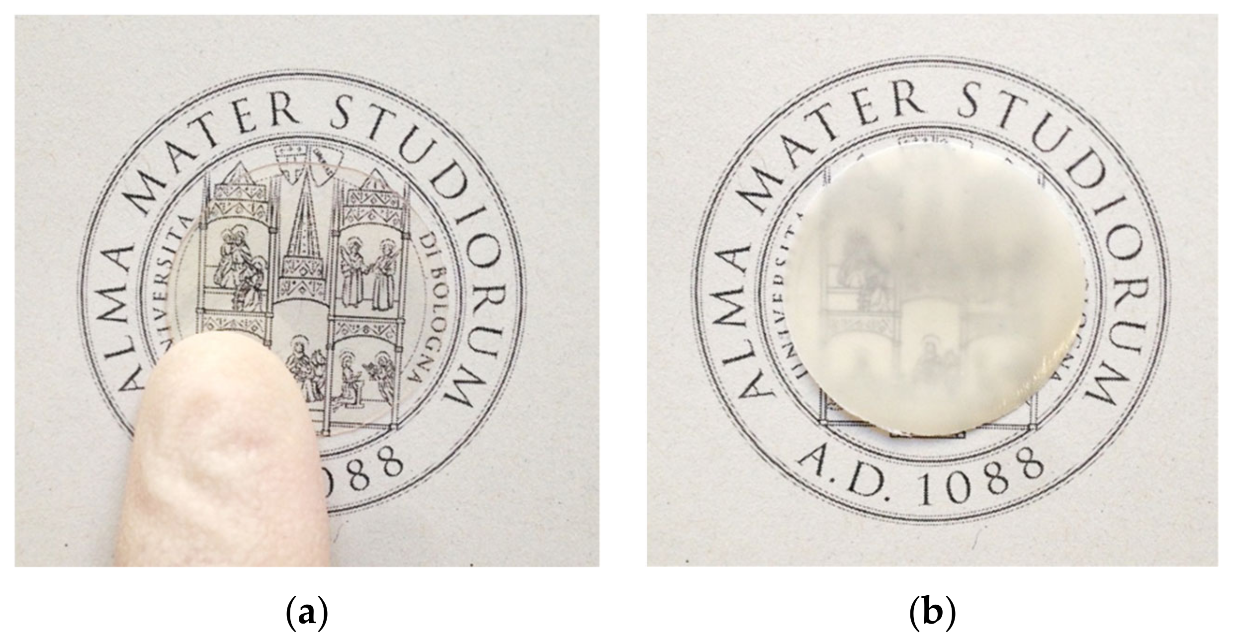 Membranes 10 00056 g003