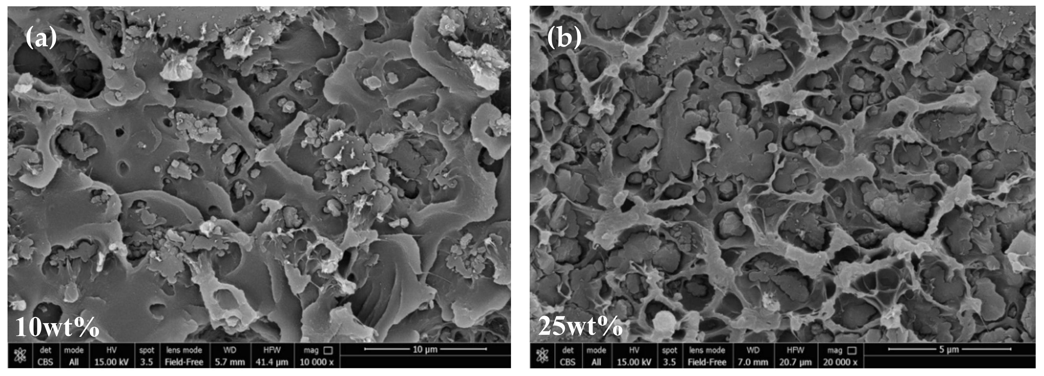 Membranes 10 00056 g005a