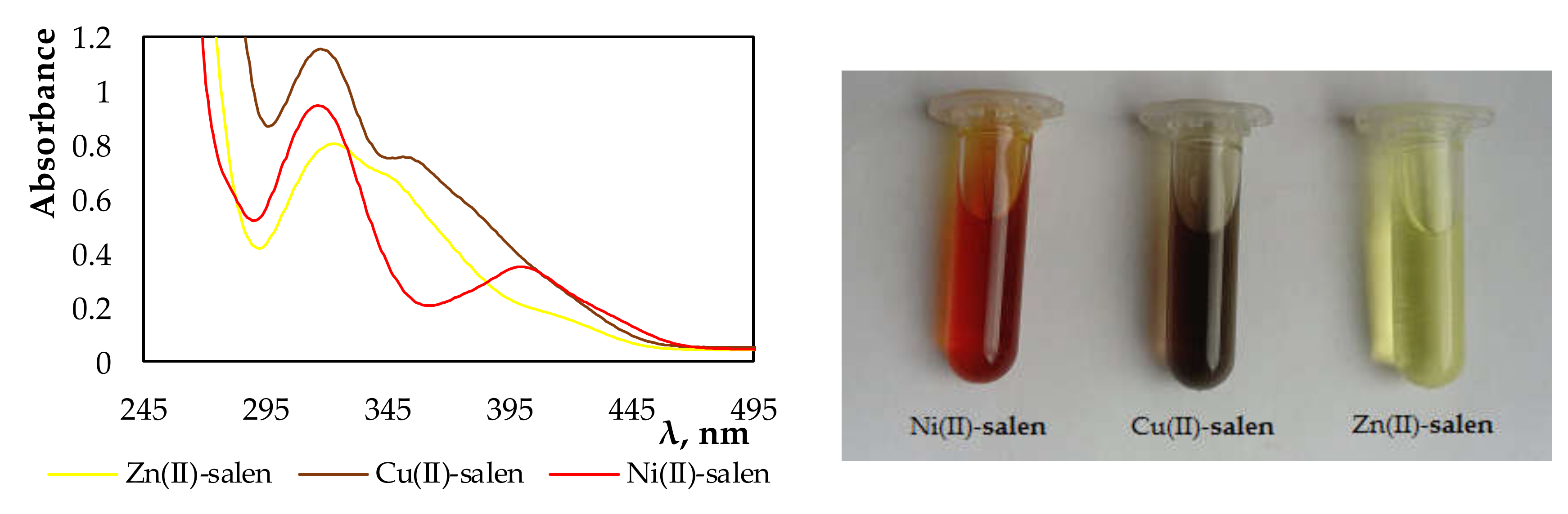 Membranes 10 00060 g002