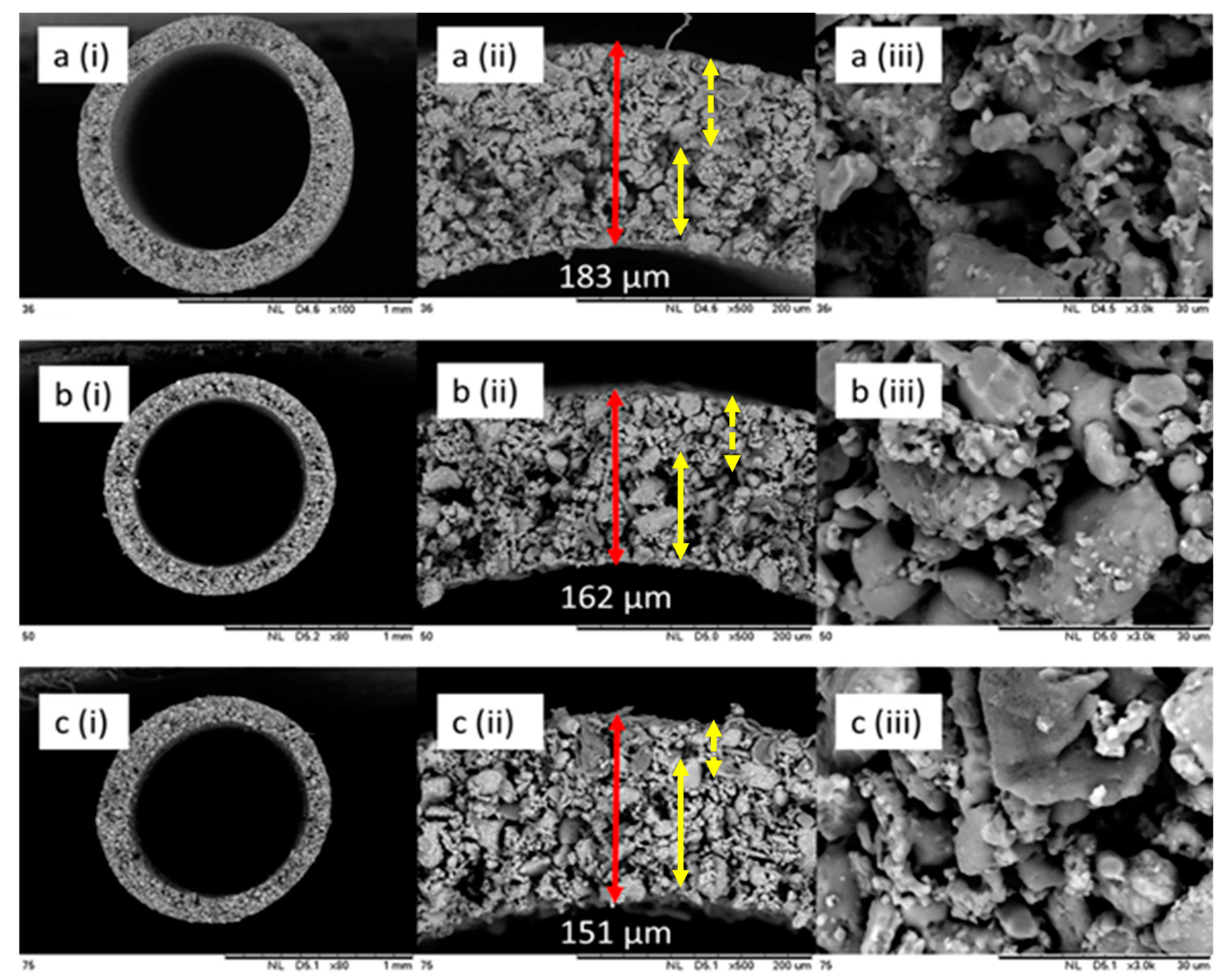 Membranes 10 00063 g003 Membranes 10 00063 g003