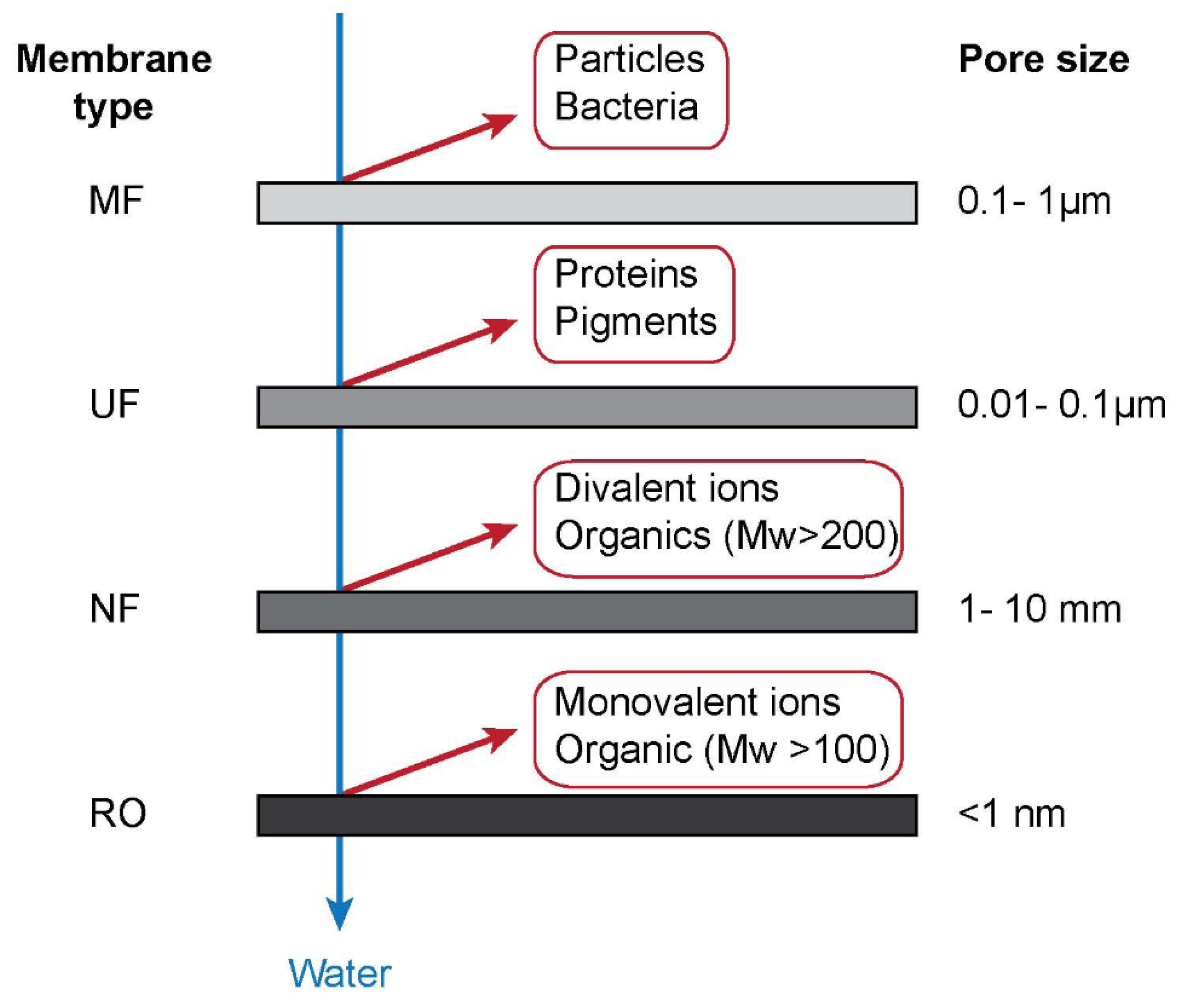 Membranes 10 00065 g002