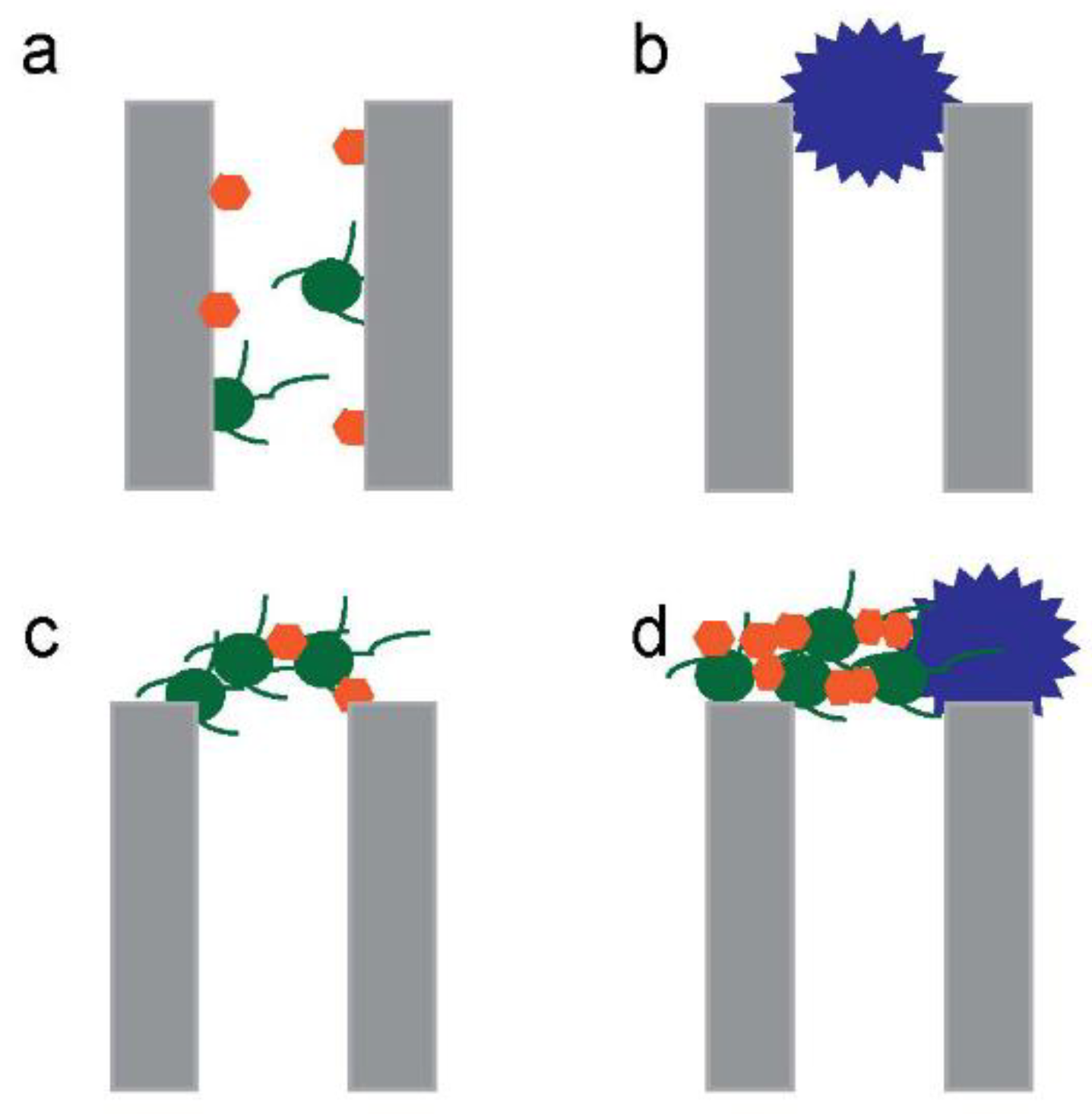 Membranes 10 00065 g004