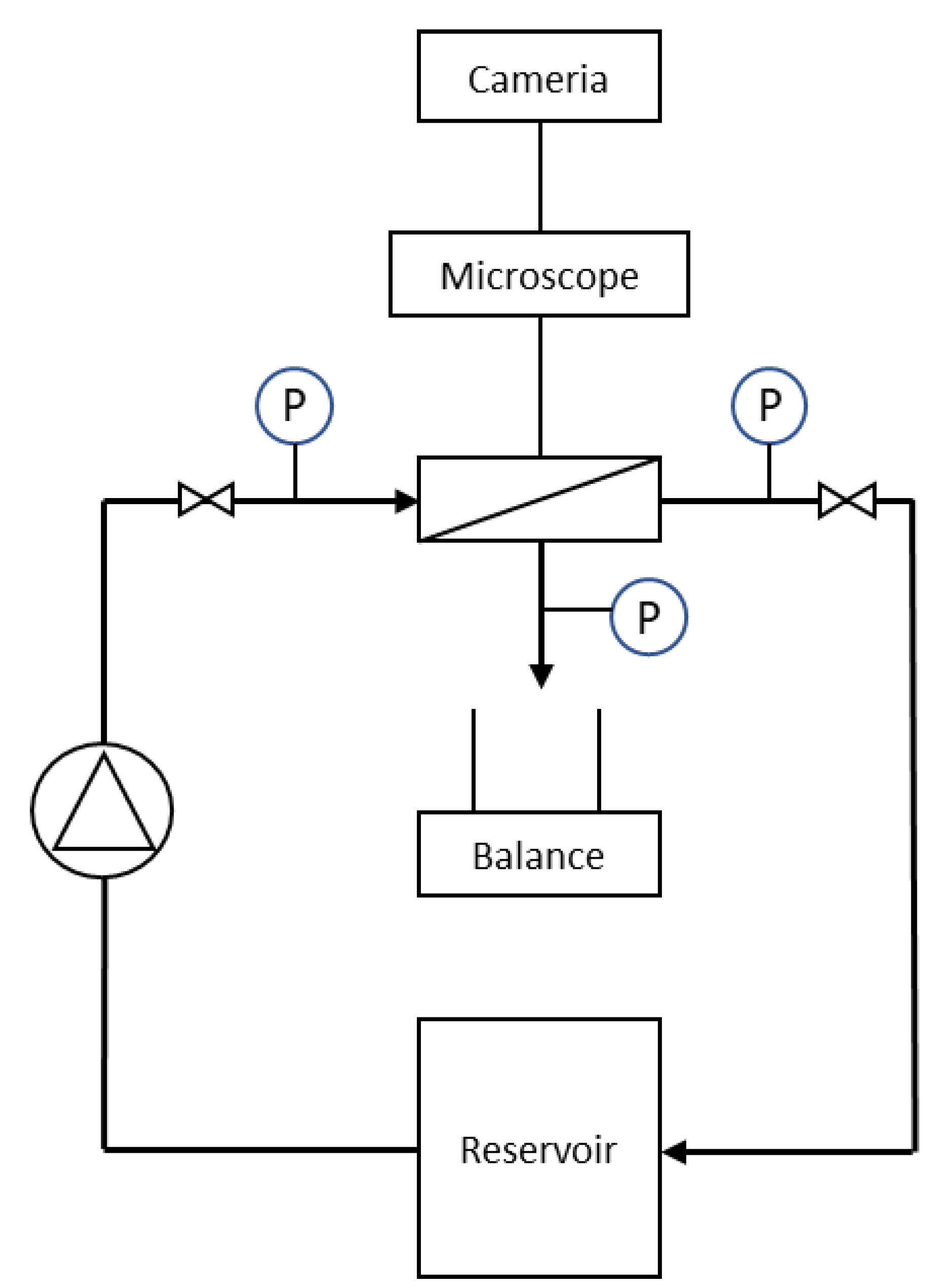 Membranes 10 00068 g001