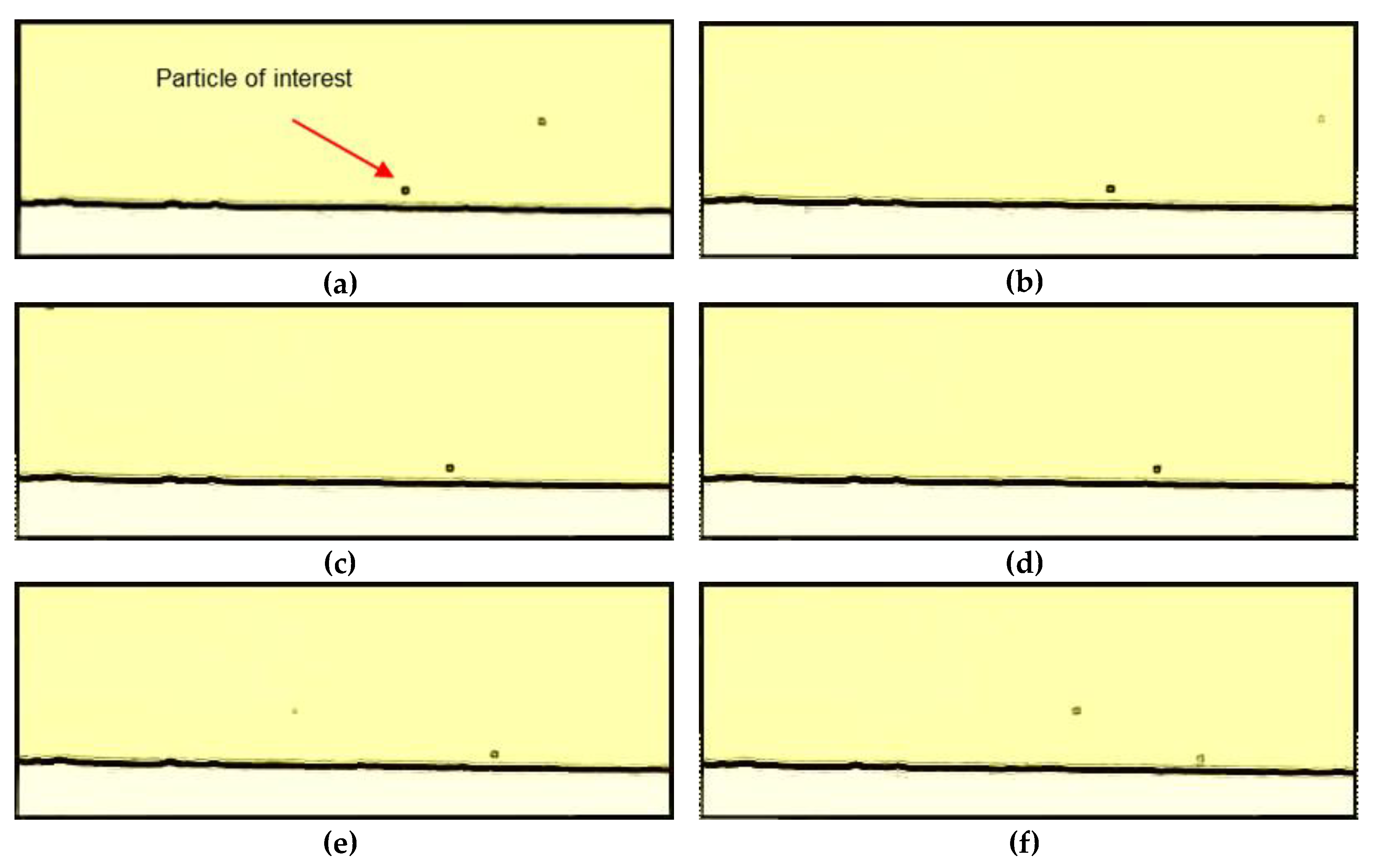 Membranes 10 00068 g005a