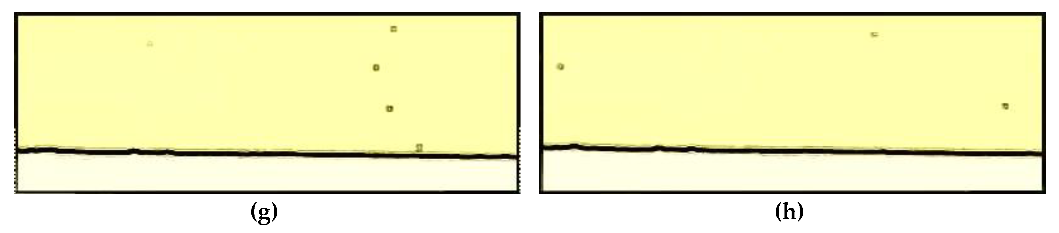 Membranes 10 00068 g005b