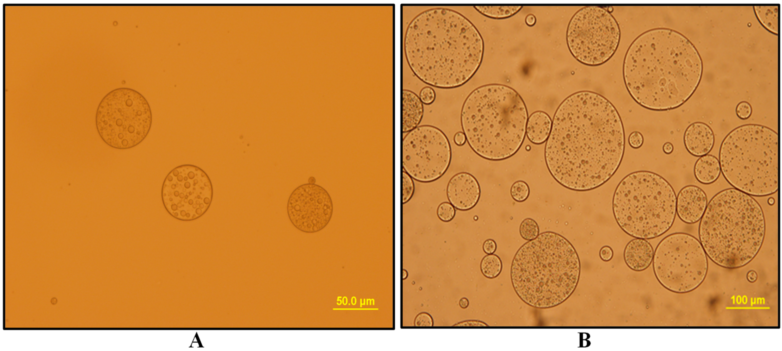 Membranes 10 00076 g006a Membranes 10 00076 g006a