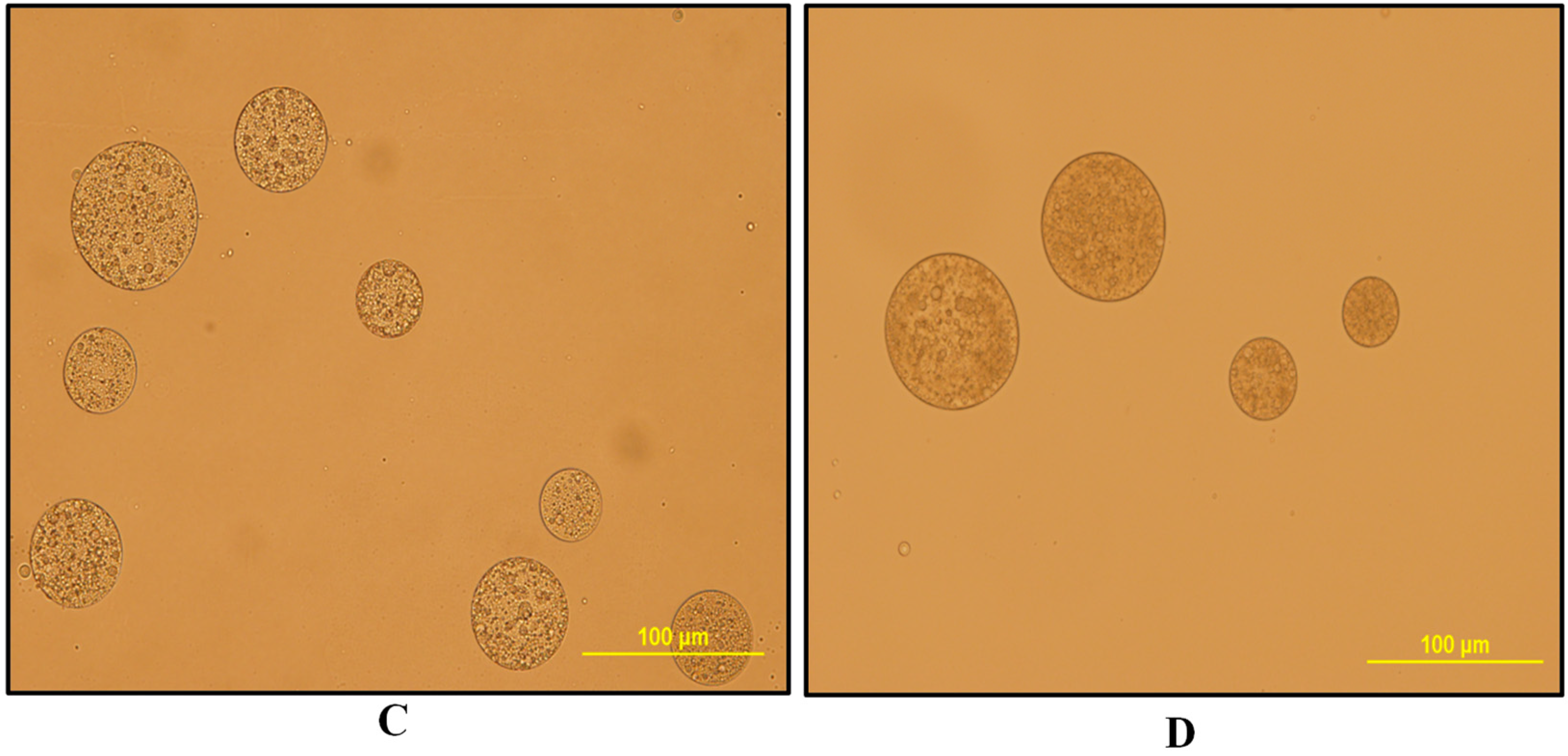 Membranes 10 00076 g006b Membranes 10 00076 g006b