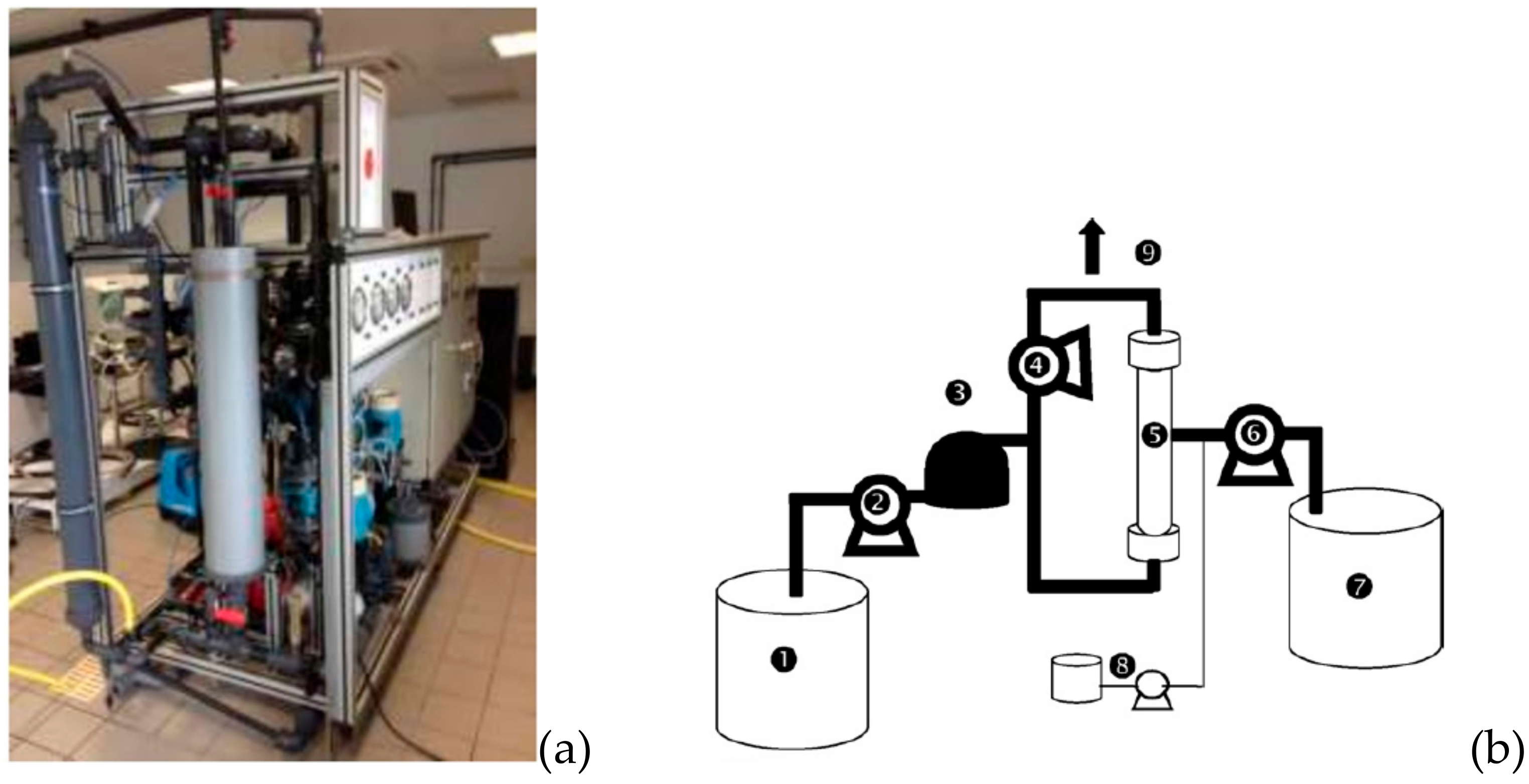Membranes 10 00078 g001 Membranes 10 00078 g001