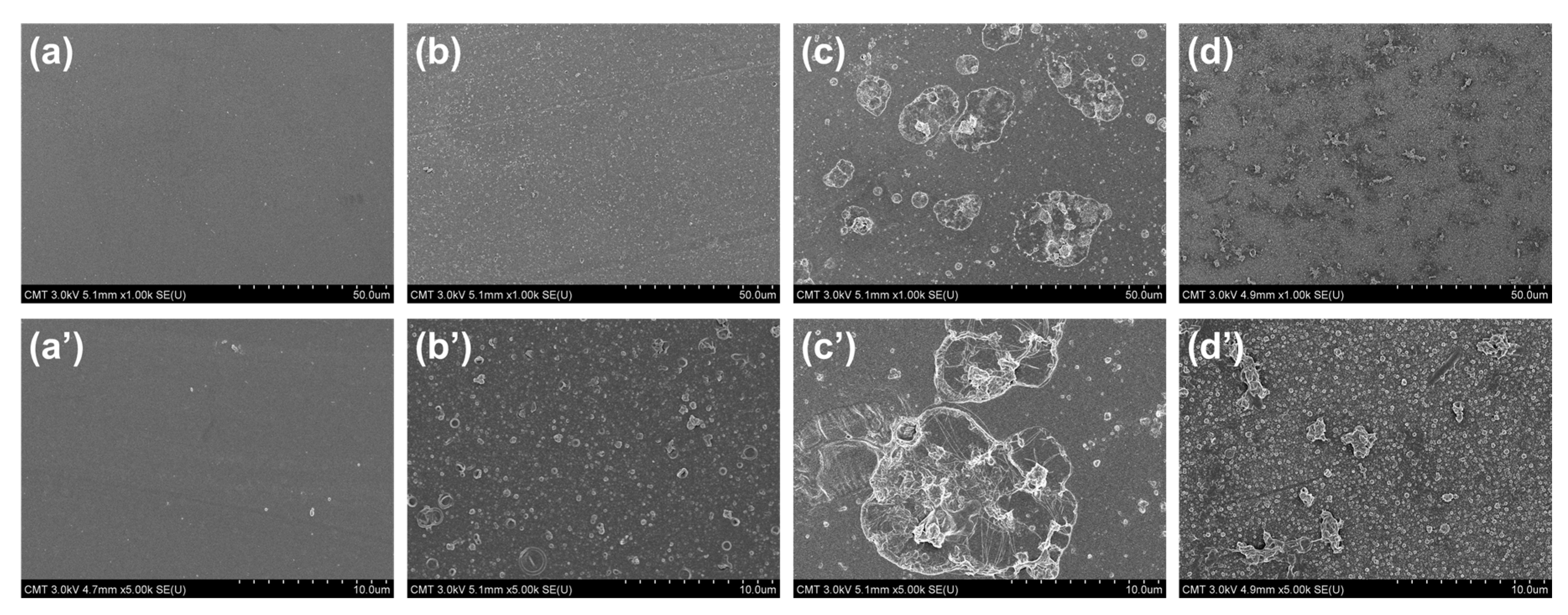 Membranes 10 00079 g006 Membranes 10 00079 g006