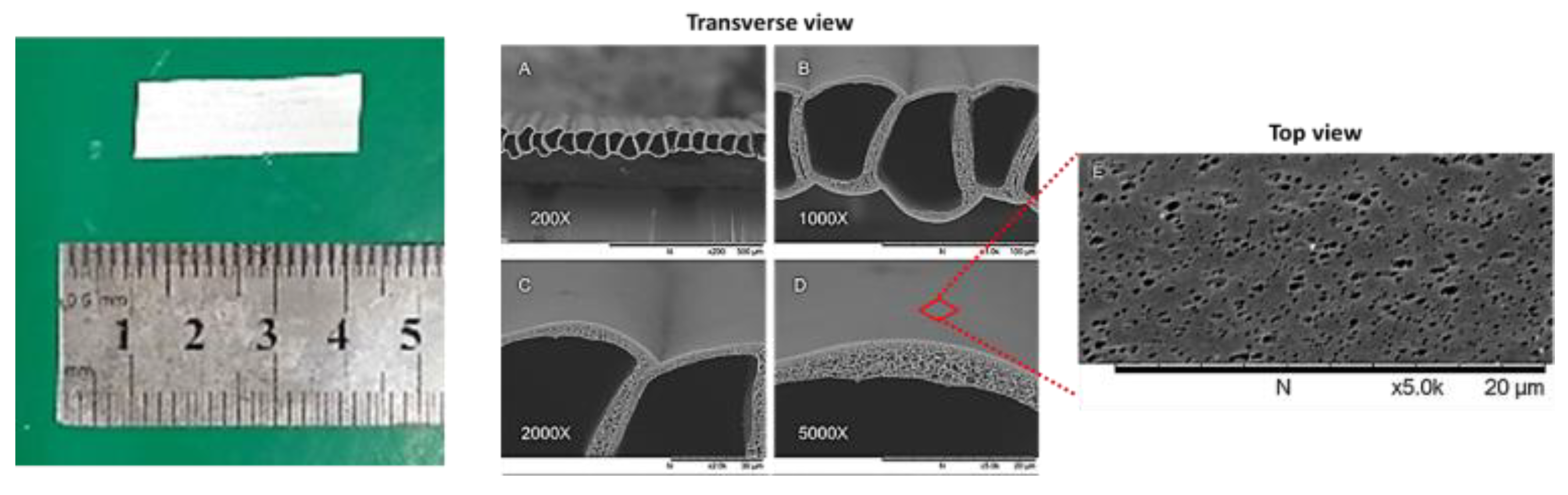 Membranes 10 00080 g001