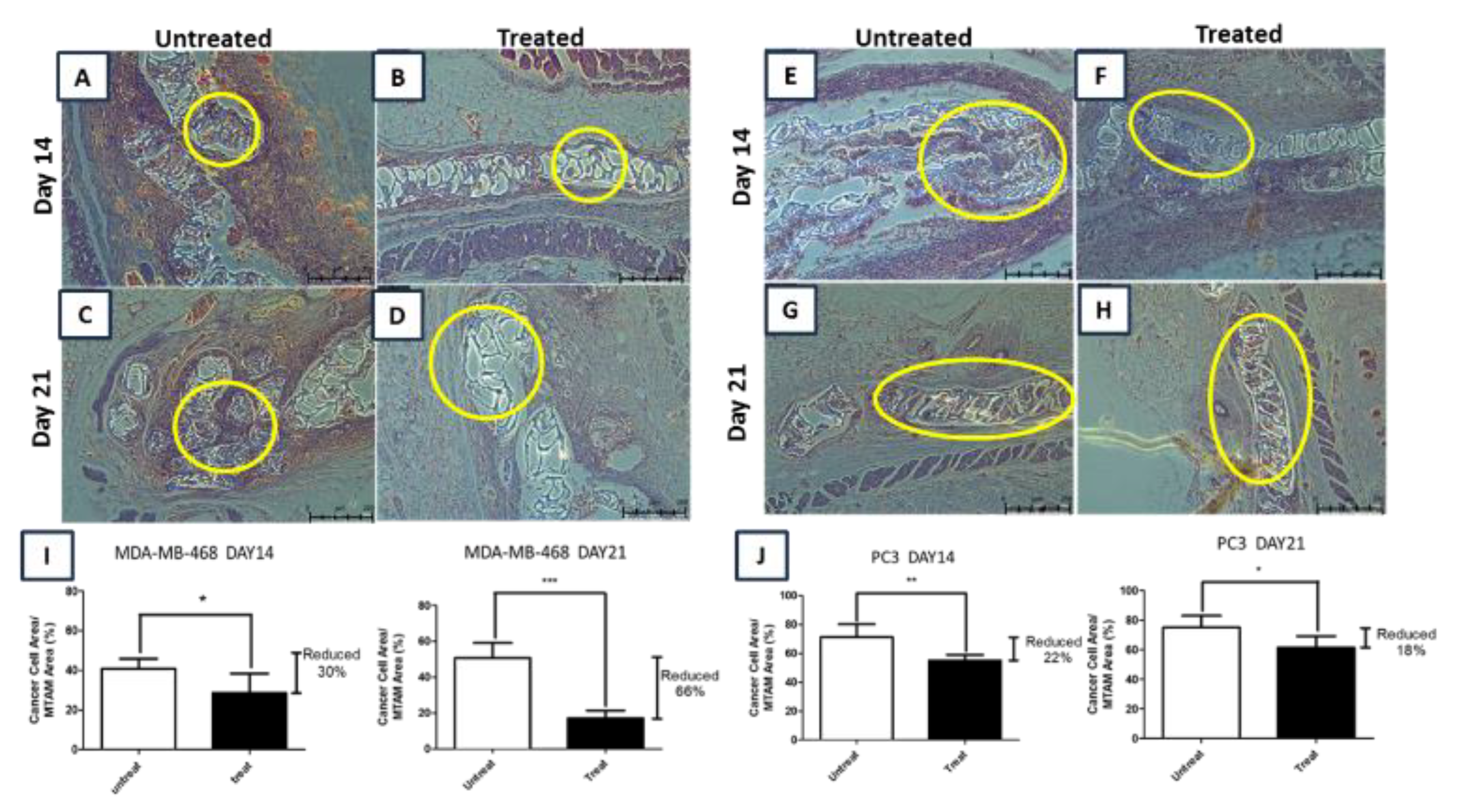 Membranes 10 00080 g005
