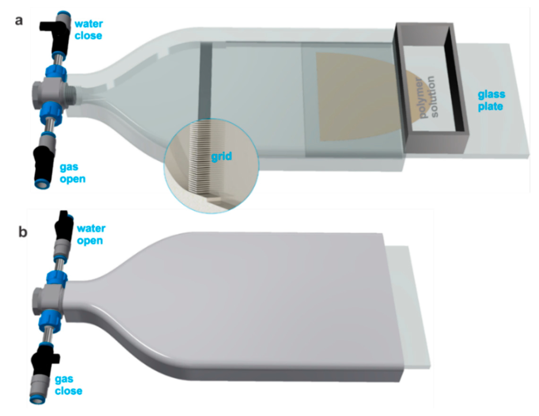 Membranes 10 00083 g001