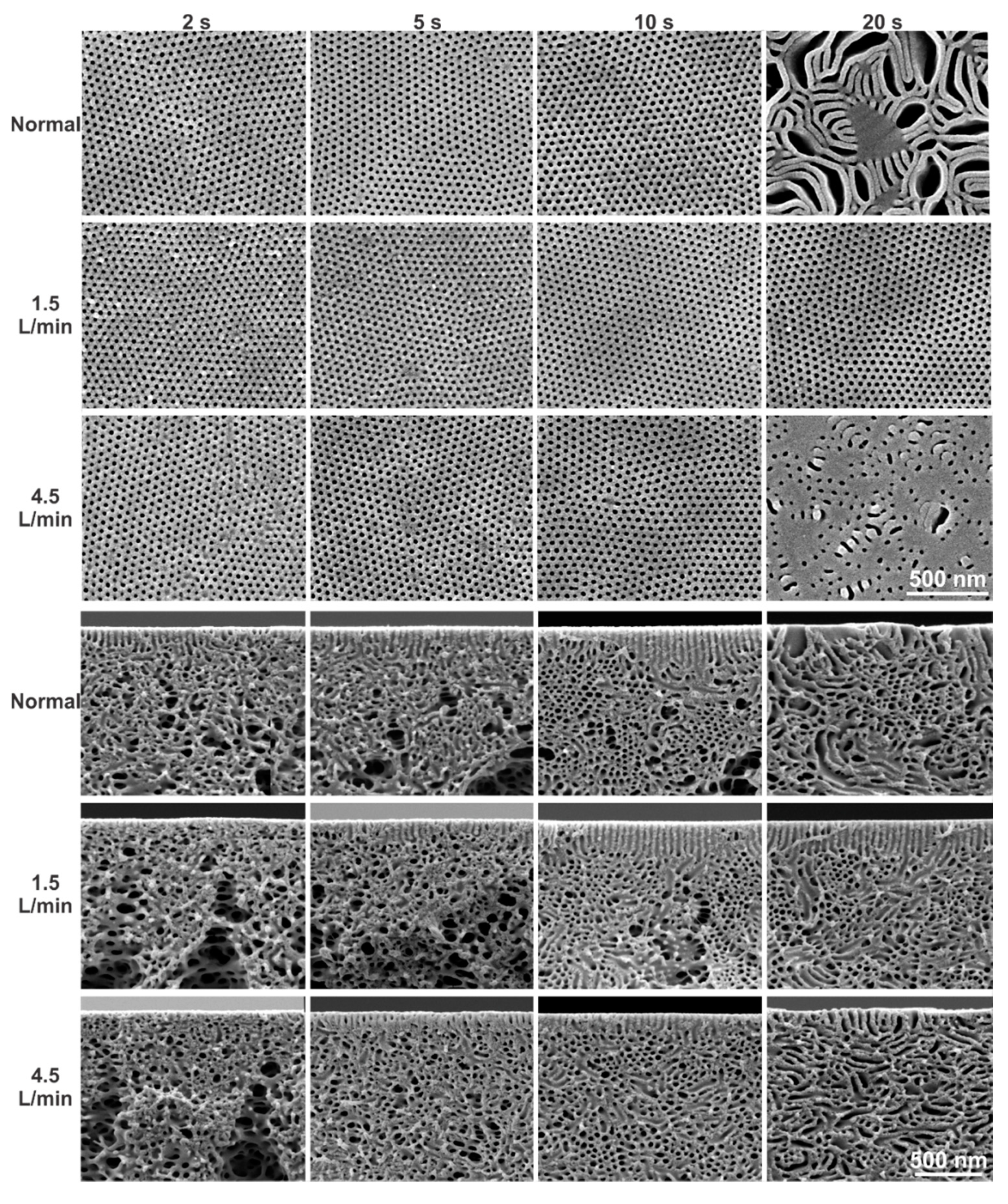 Membranes 10 00083 g003
