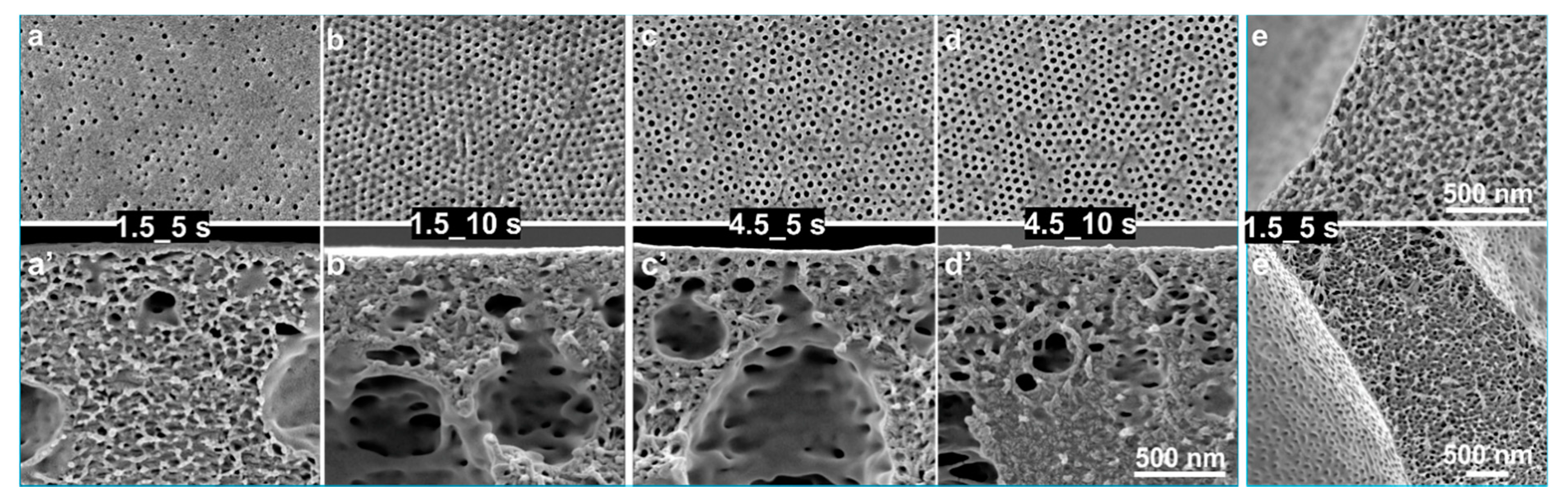 Membranes 10 00083 g008