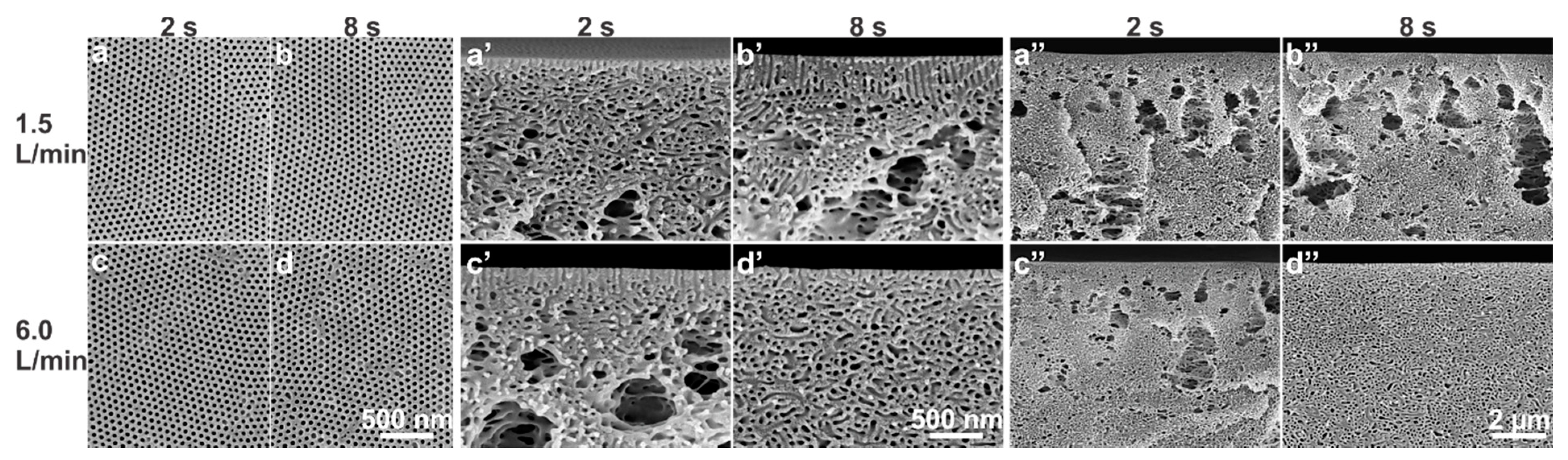 Membranes 10 00083 g009