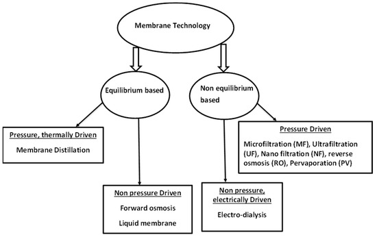 10. Application of Membrane Filter Technique in Surface Disinfectant Assessment