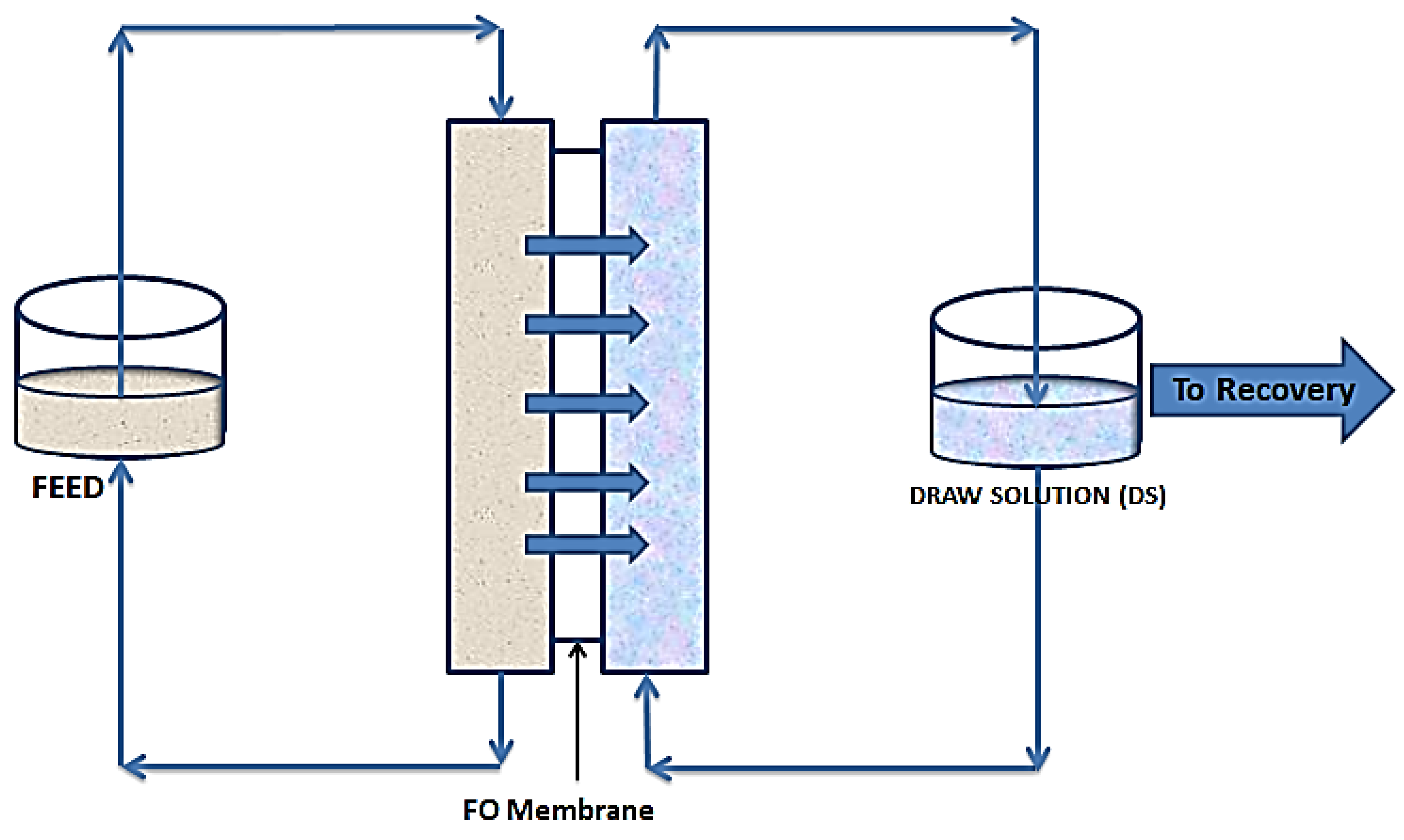 excel horsepower Medicine Membranes | Free Full-Text | Membrane Technologies in Wastewater Treatment:  A Review | HTML