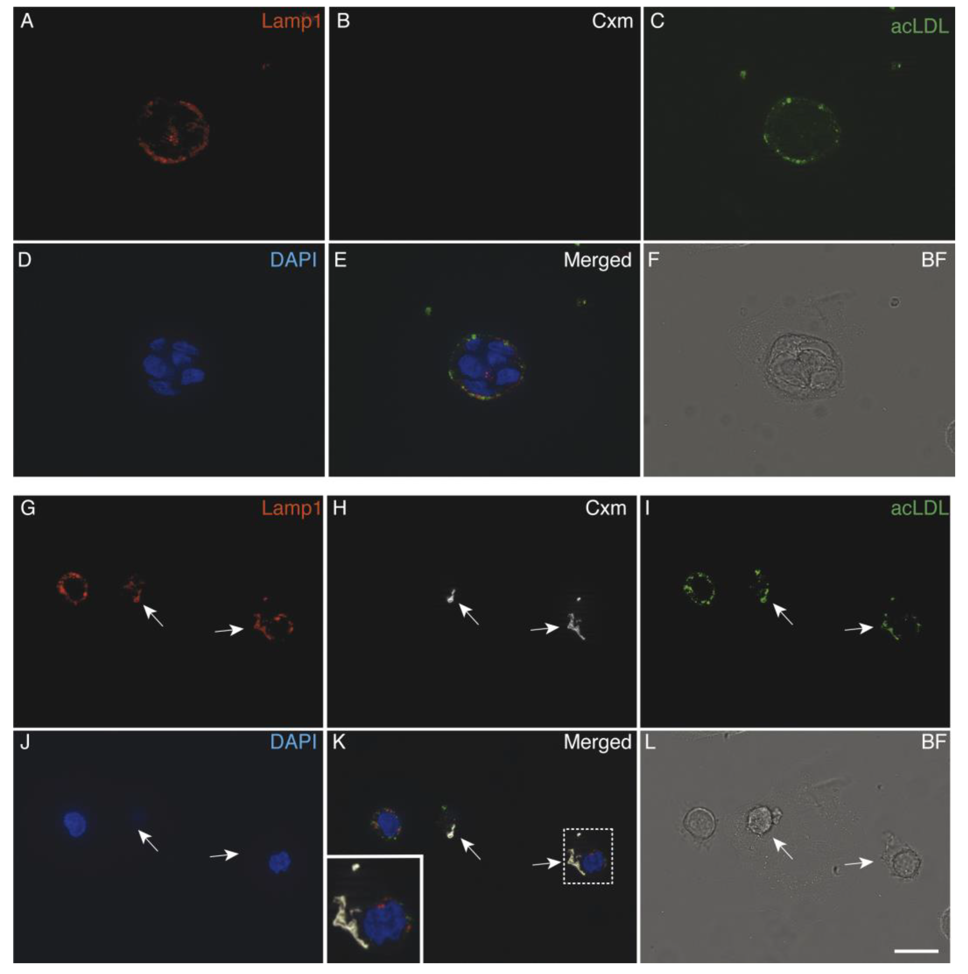 Membranes 10 00091 g006 Membranes 10 00091 g006