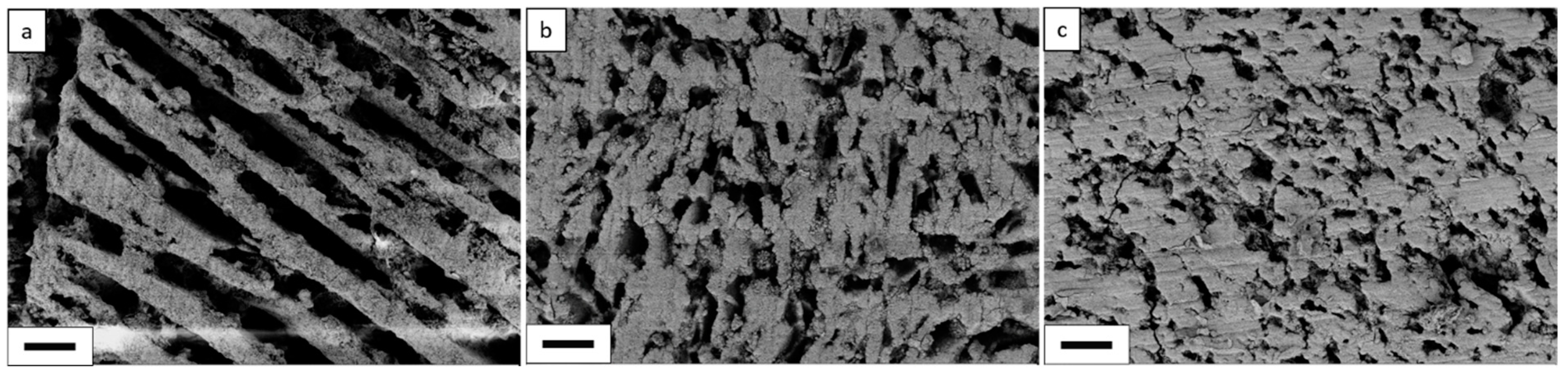 Membranes 10 00093 g002 Membranes 10 00093 g002