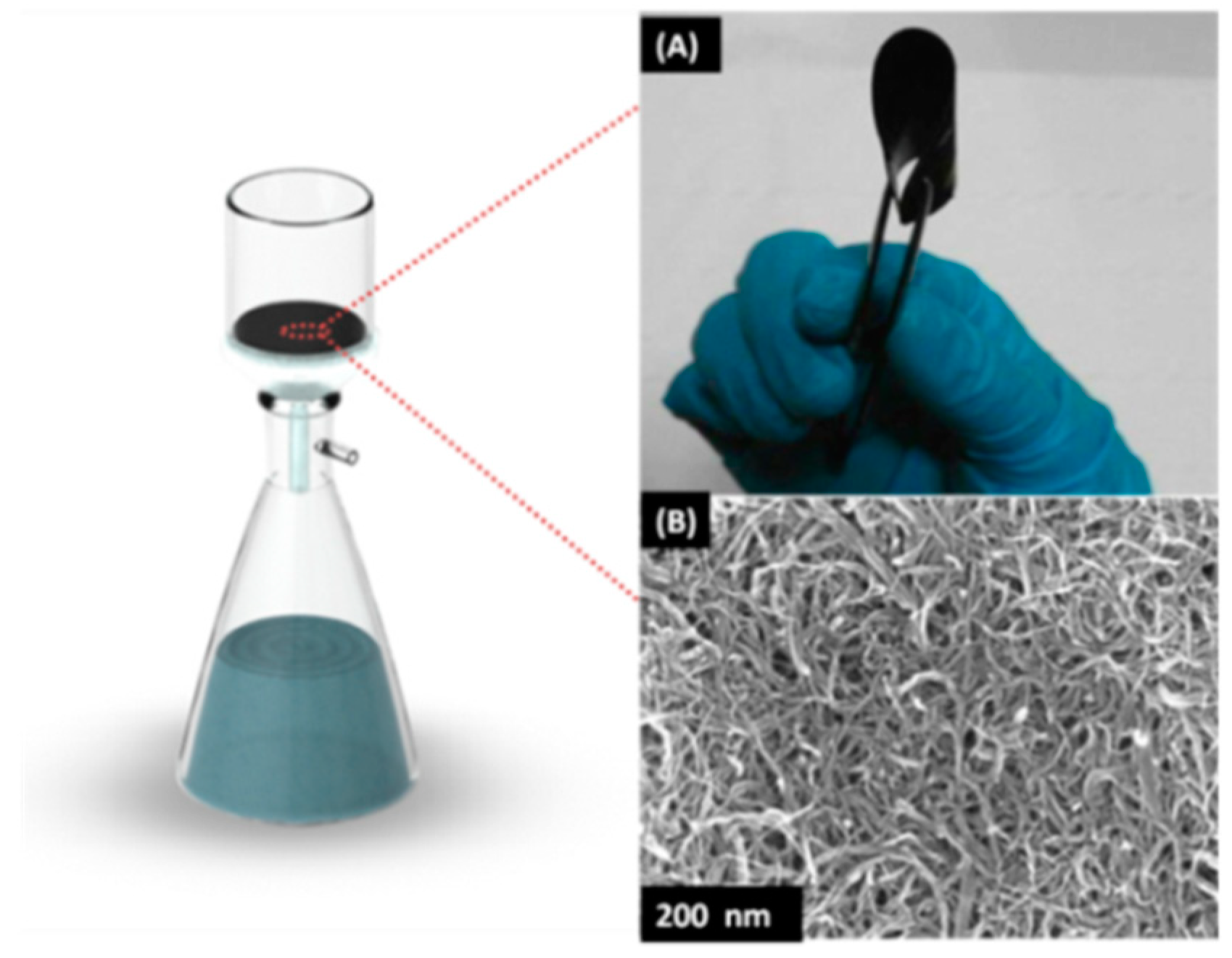 Membranes 10 00097 g001 Membranes 10 00097 g001