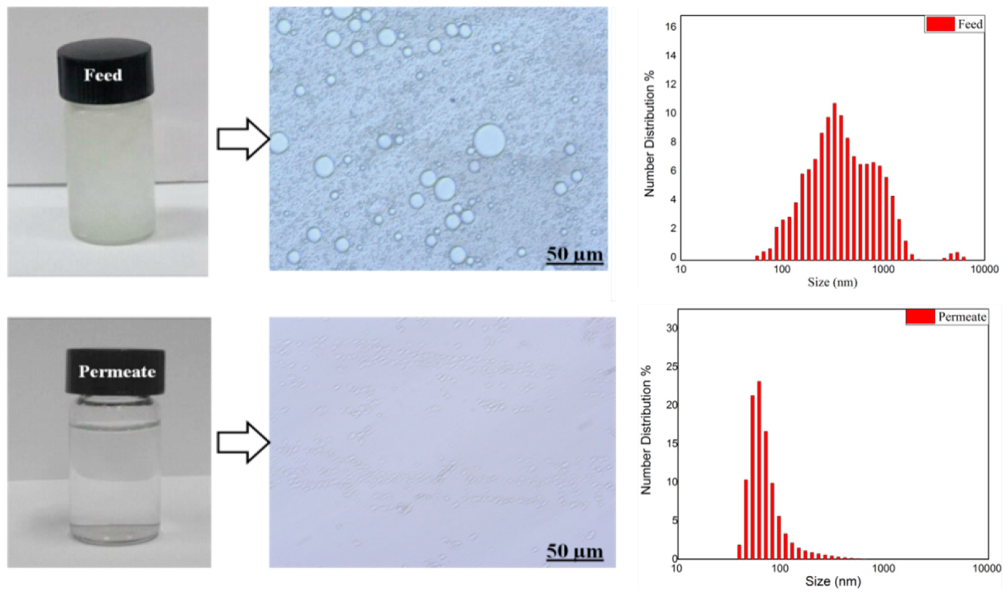 Membranes 10 00097 g009 Membranes 10 00097 g009