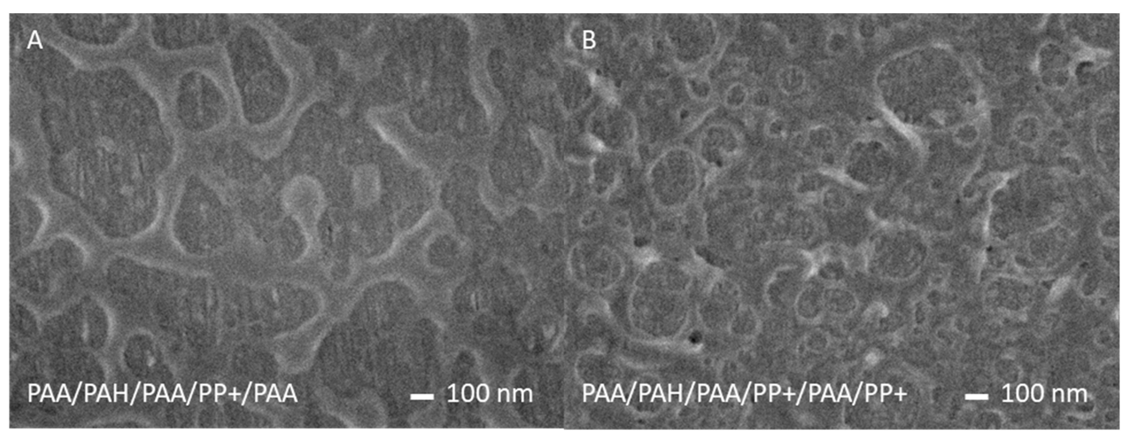 Membranes 10 00103 g003 Membranes 10 00103 g003