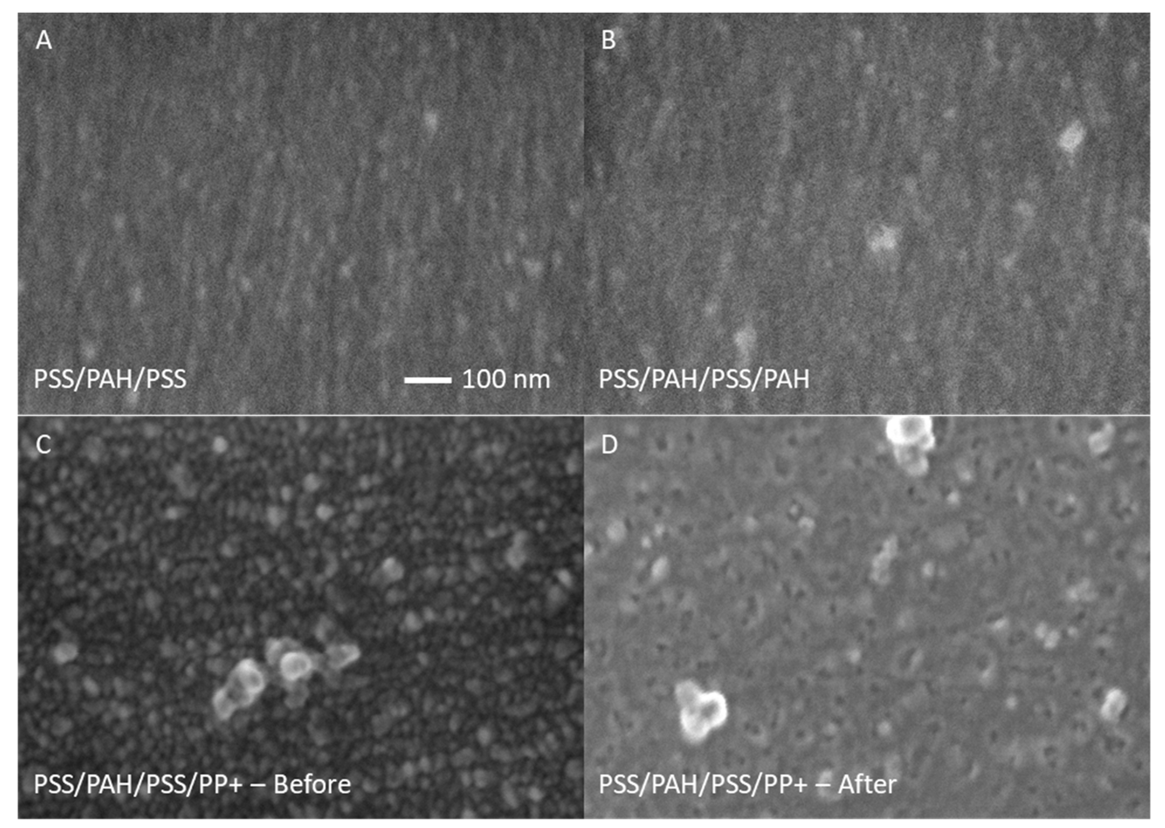 Membranes 10 00103 g004 Membranes 10 00103 g004