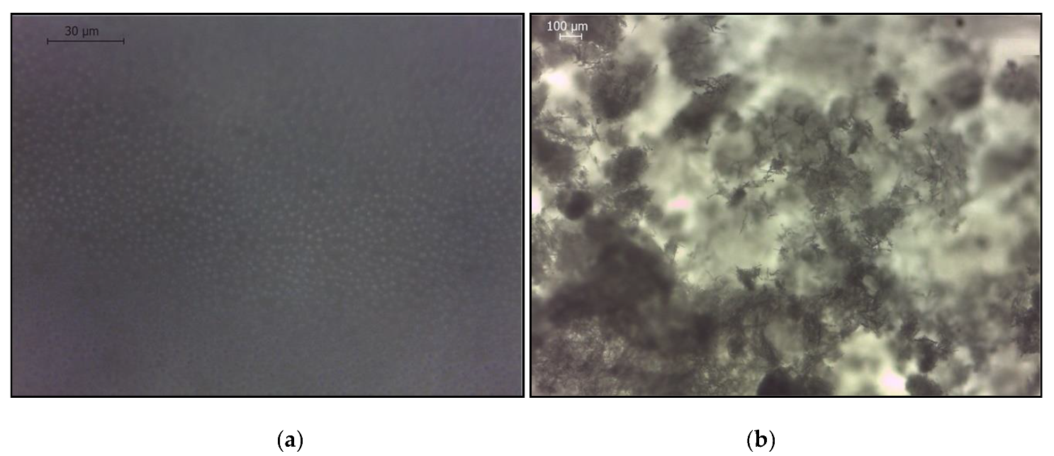 Membranes 10 00108 g008a Membranes 10 00108 g008a