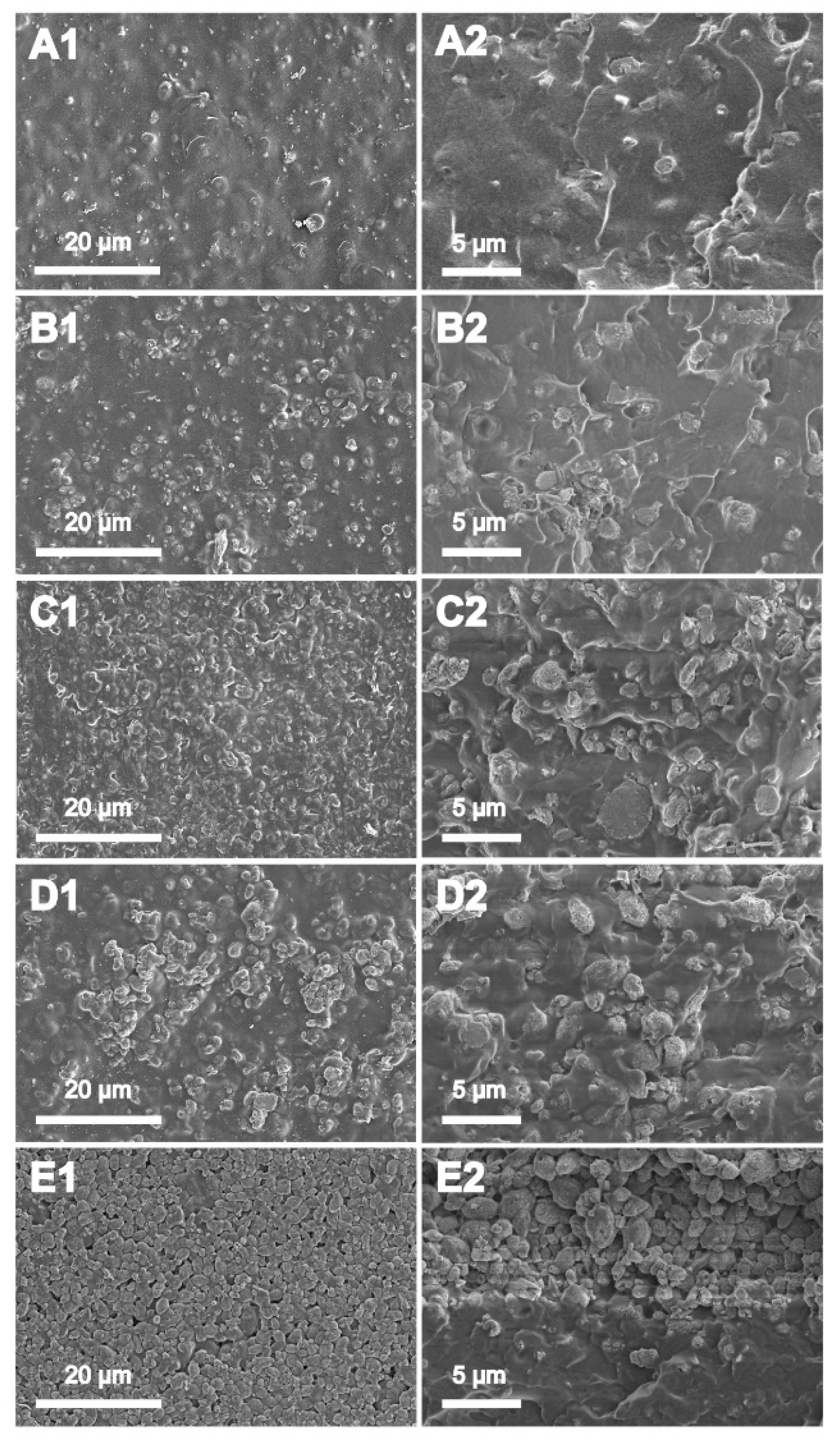 Membranes 10 00114 g004 Membranes 10 00114 g004