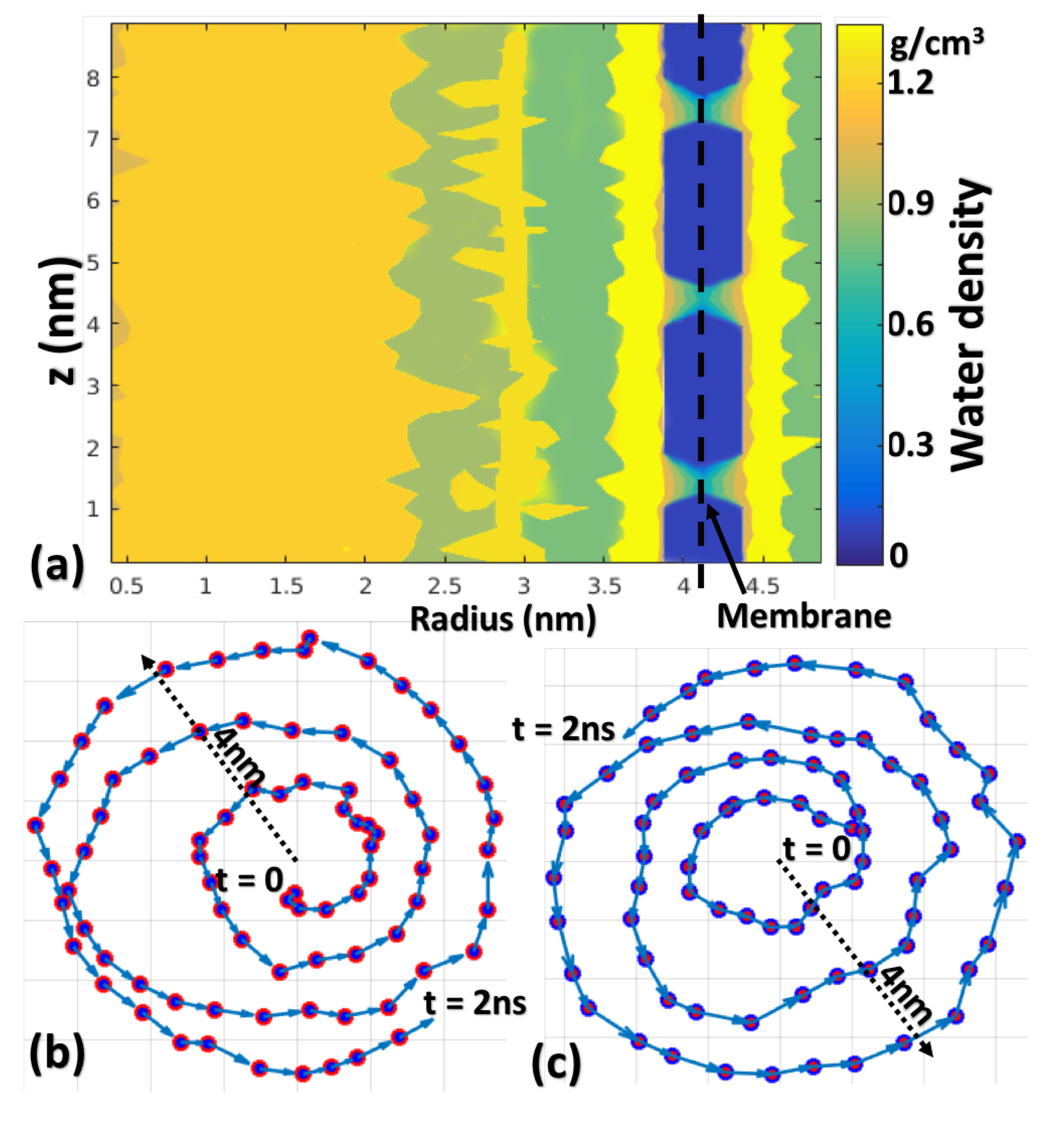 Membranes 10 00117 g004 Membranes 10 00117 g004