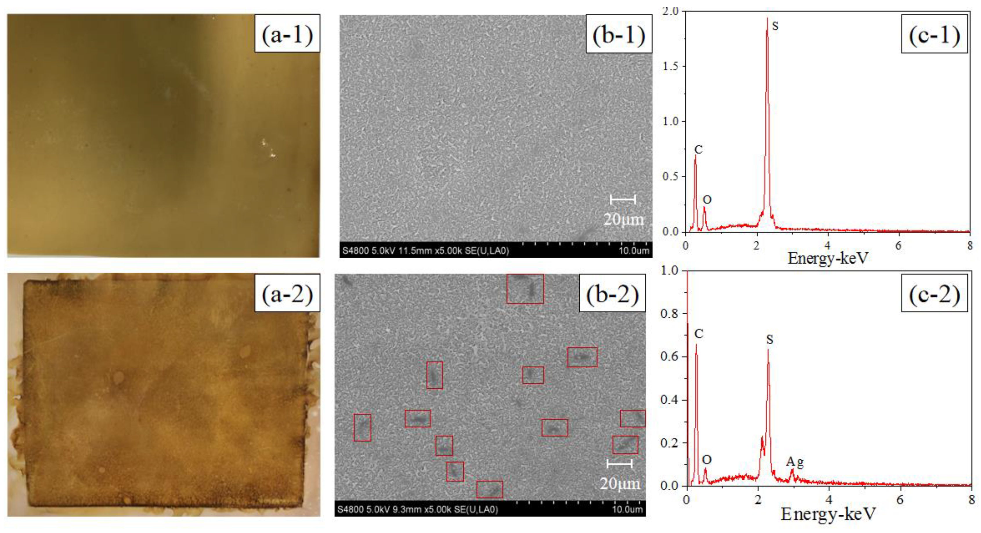 Membranes 10 00122 g002