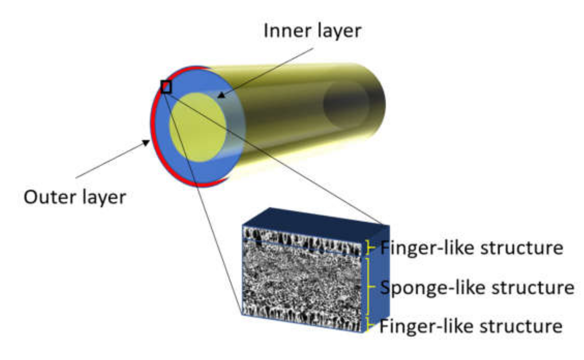 Membranes 10 00124 g001 Membranes 10 00124 g001