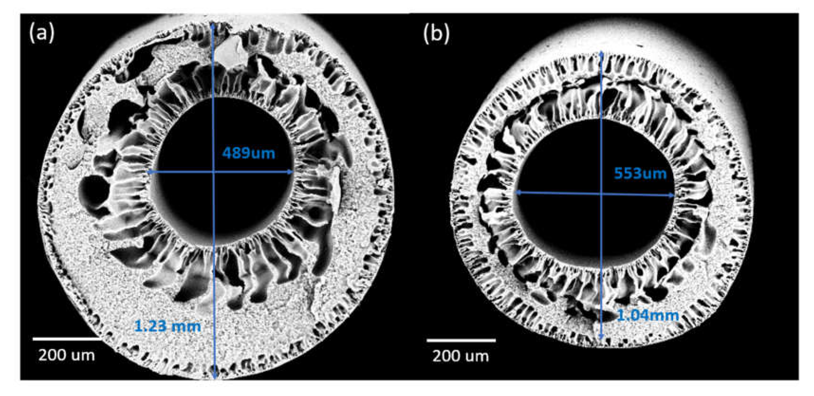 Membranes 10 00124 g005 Membranes 10 00124 g005