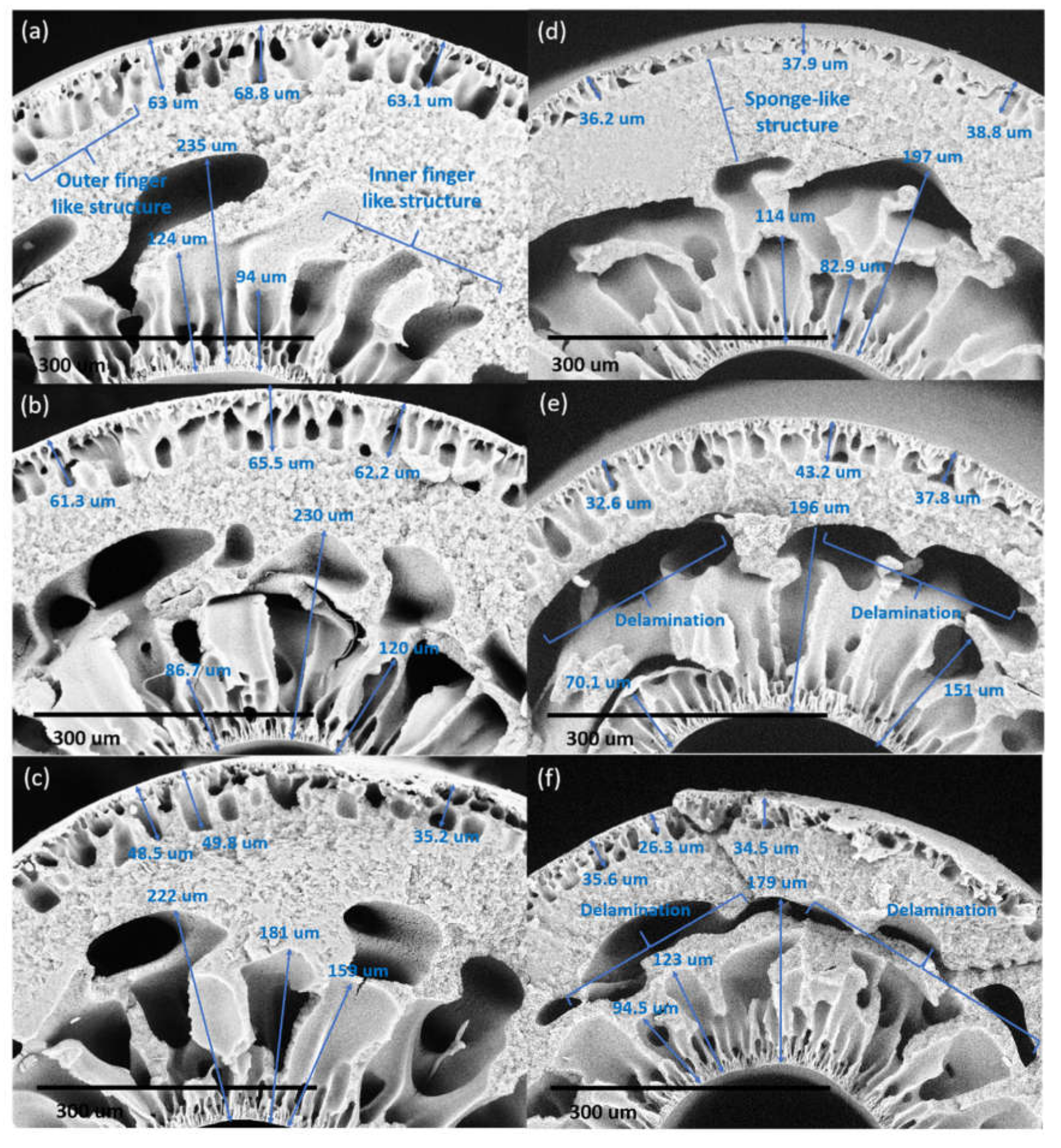 Membranes 10 00124 g006 Membranes 10 00124 g006