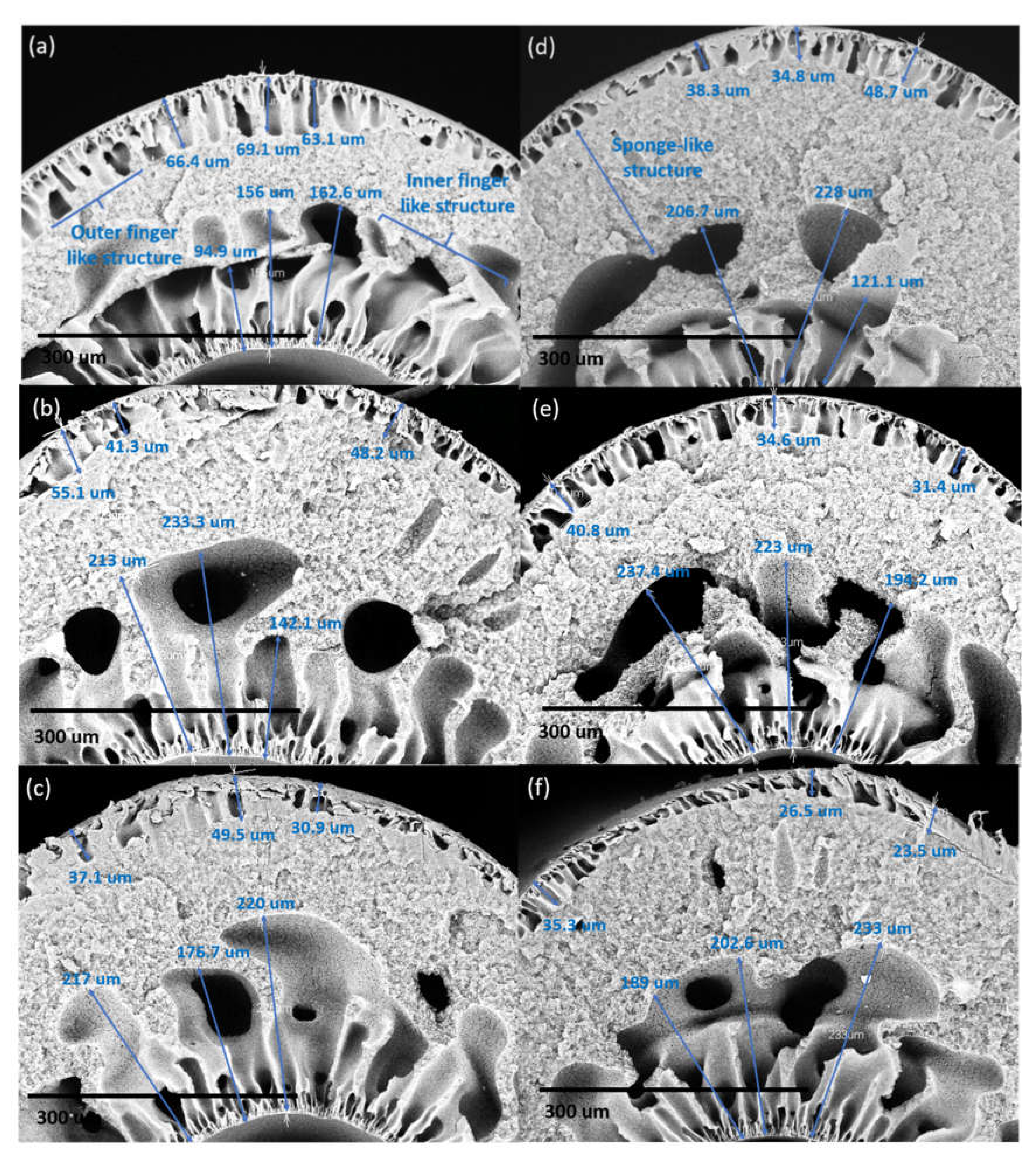 Membranes 10 00124 g007 Membranes 10 00124 g007