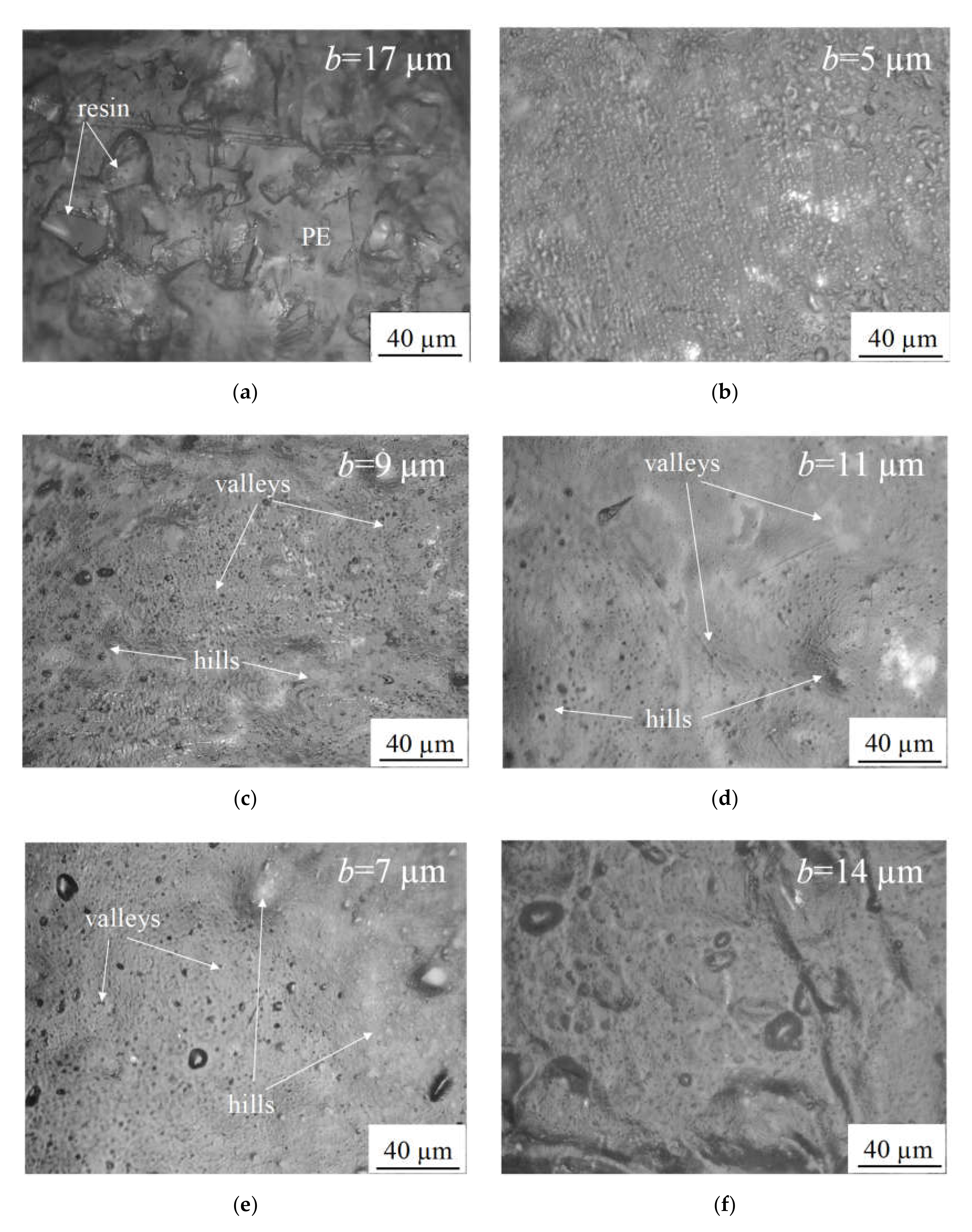 Membranes 10 00125 g002