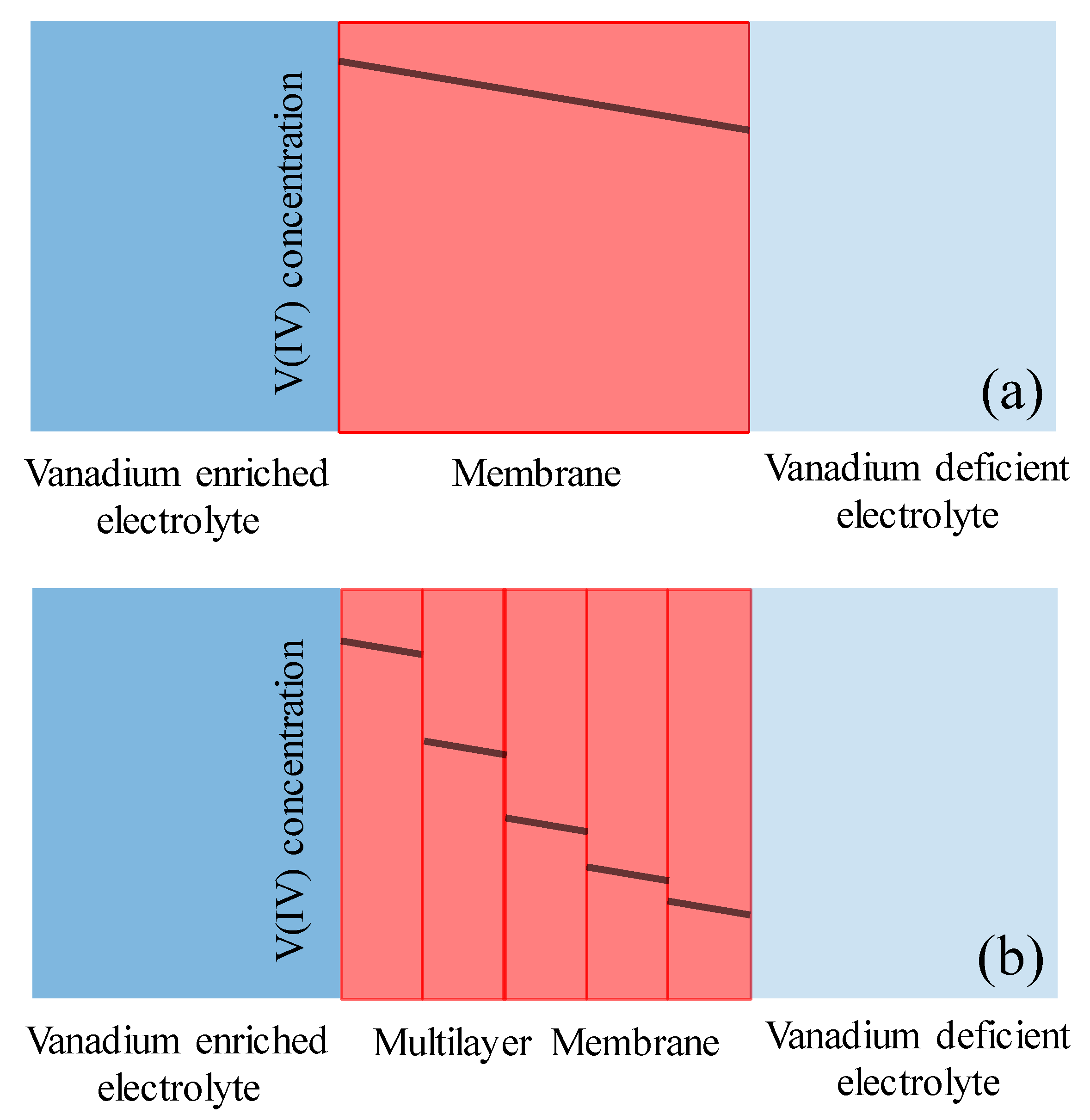 Membranes 10 00126 g012