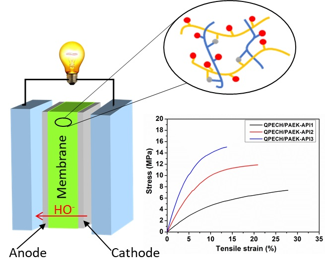 Membranes Free FullText Anion Exchange Membranes Prepared from