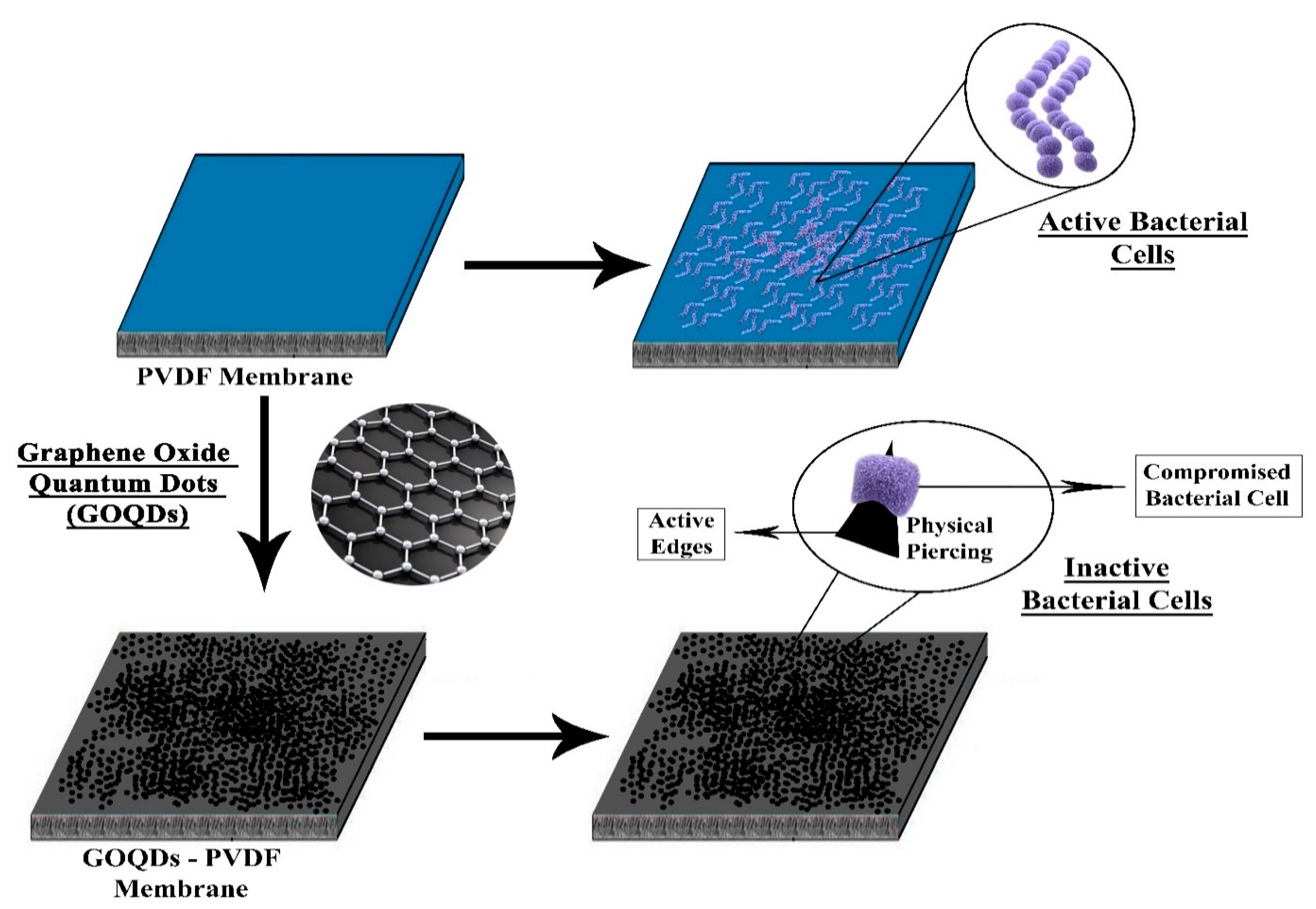 Membranes 10 00140 g010 Membranes 10 00140 g010
