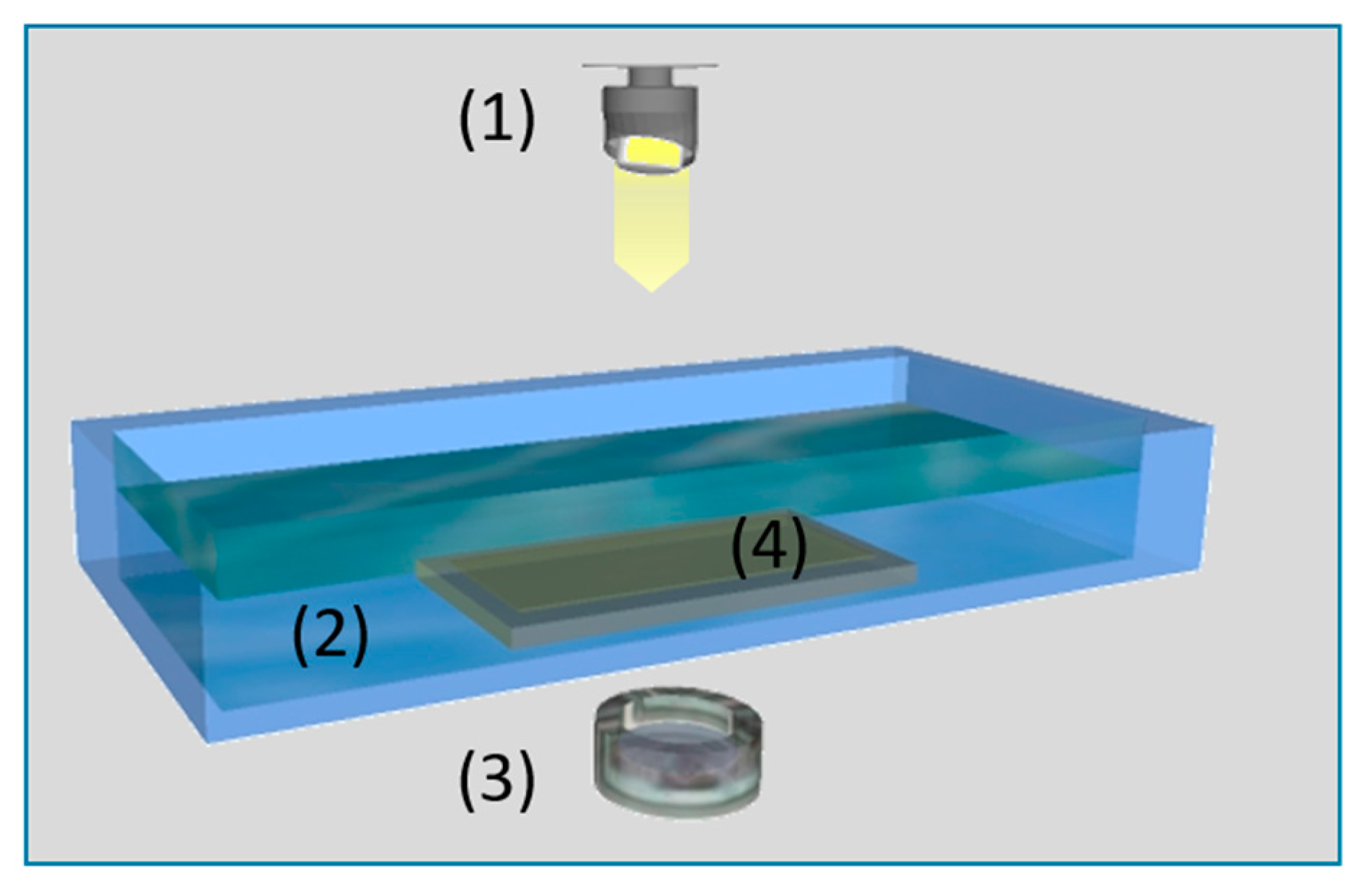 Membranes 10 00143 g003 Membranes 10 00143 g003