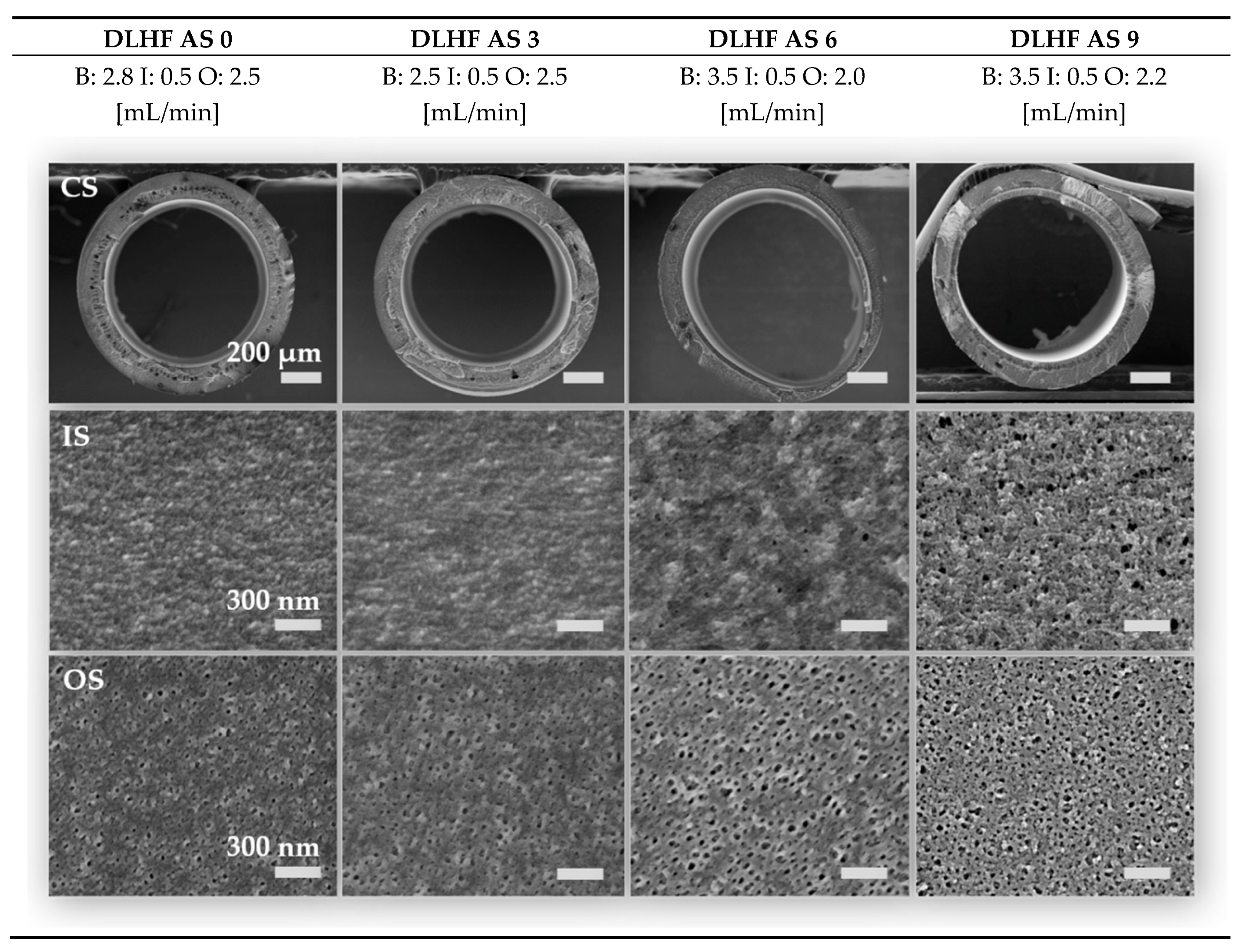 Membranes 10 00143 g014 Membranes 10 00143 g014