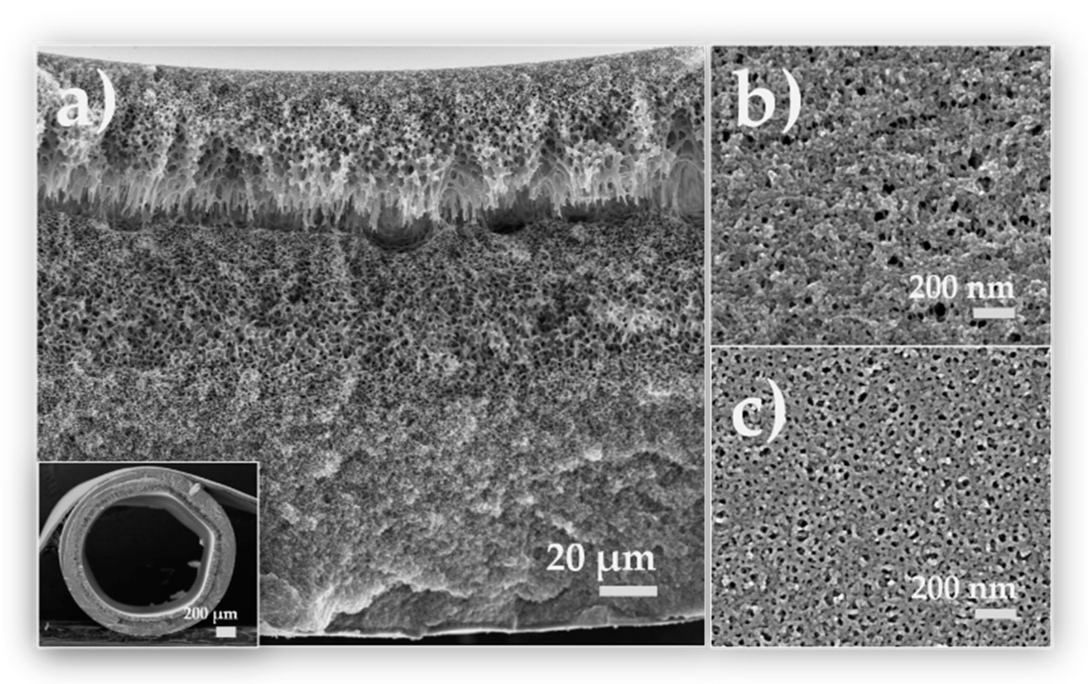 Membranes 10 00143 g016 Membranes 10 00143 g016