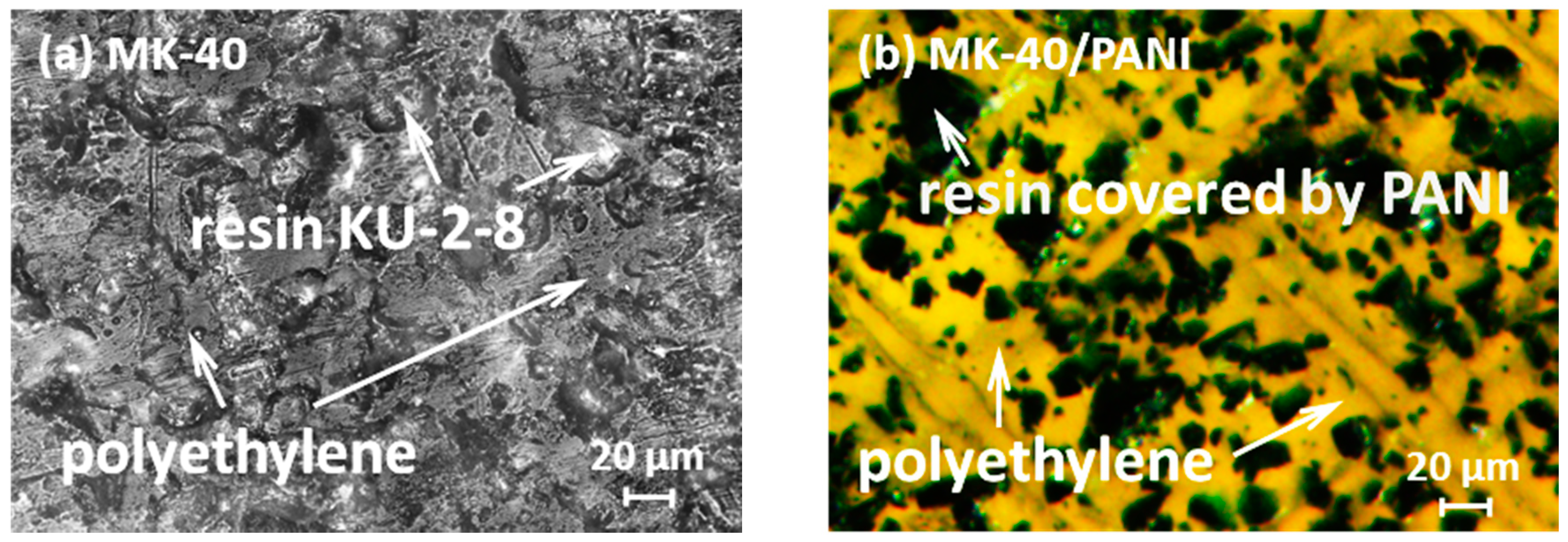 Membranes 10 00145 g001 Membranes 10 00145 g001