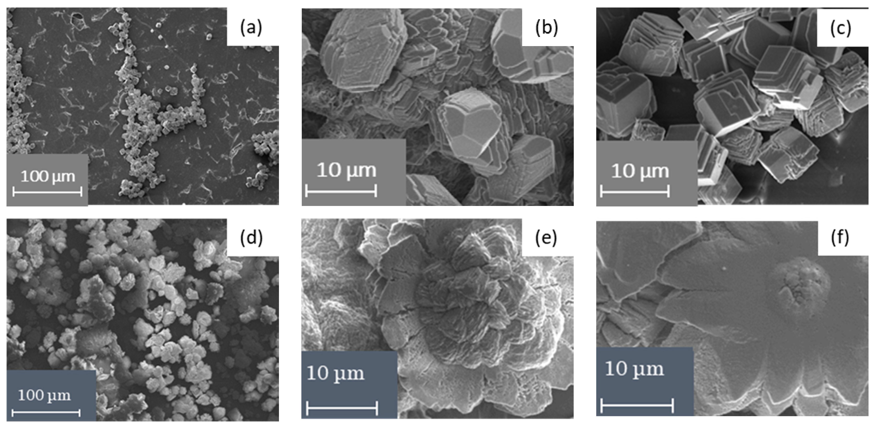 Membranes 10 00145 g007 Membranes 10 00145 g007
