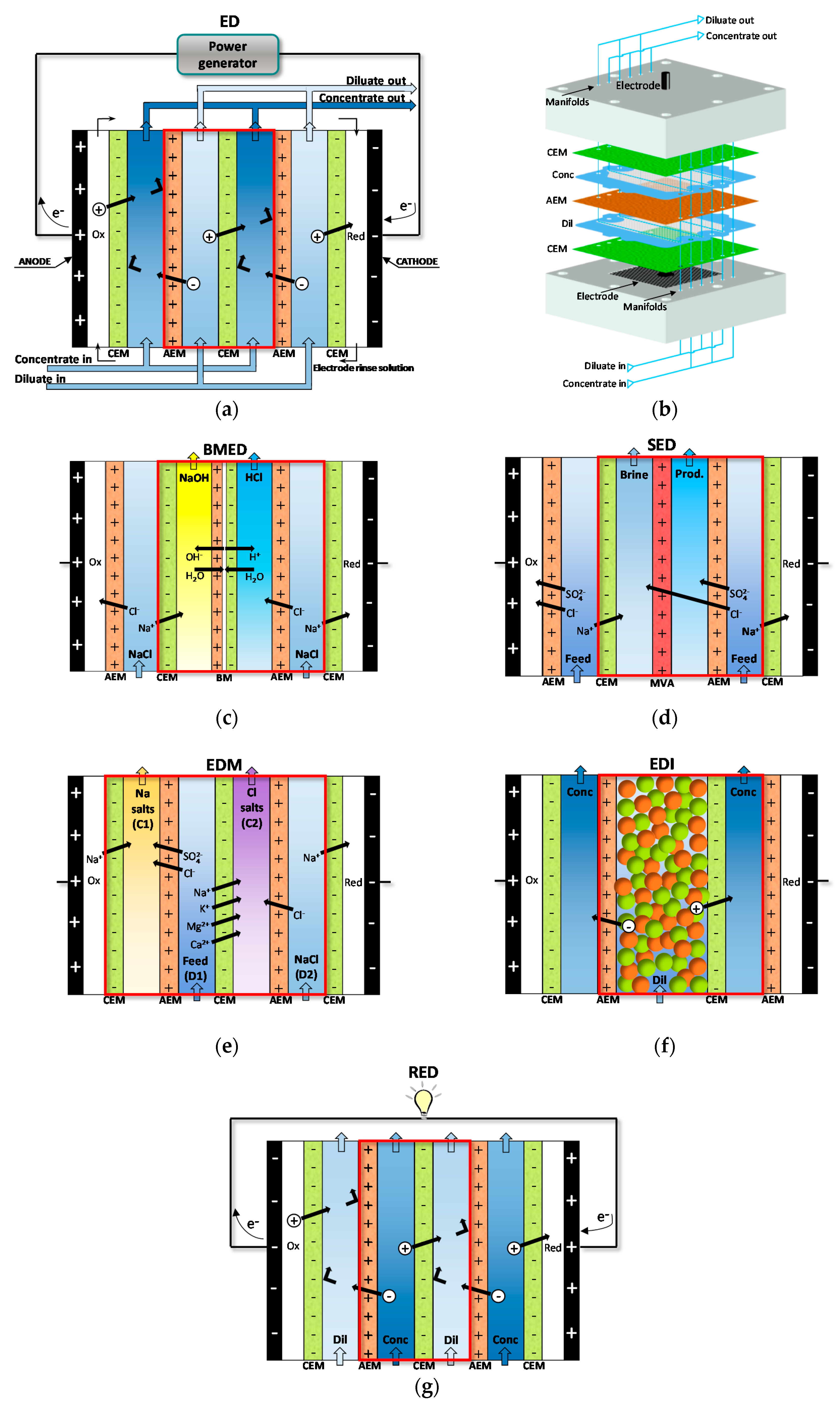 Membranes 10 00146 g003