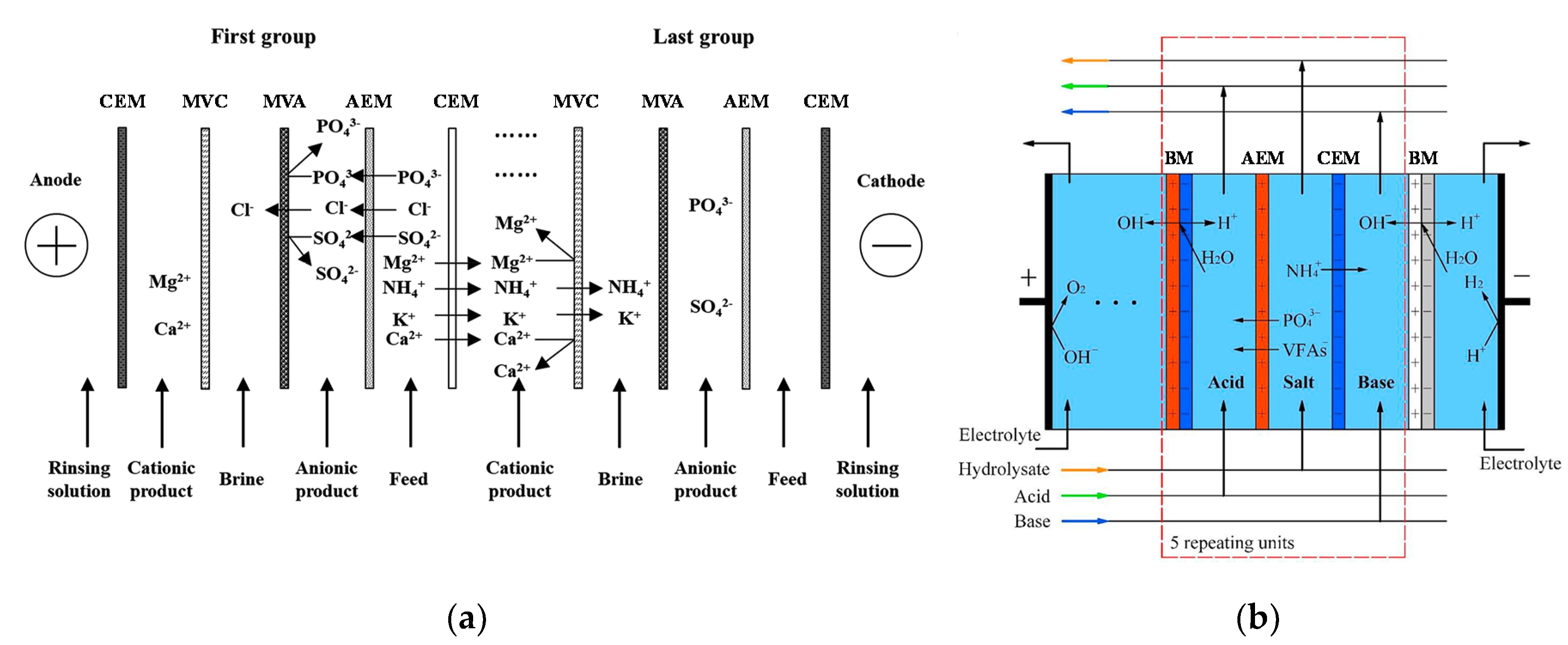 Membranes 10 00146 g024