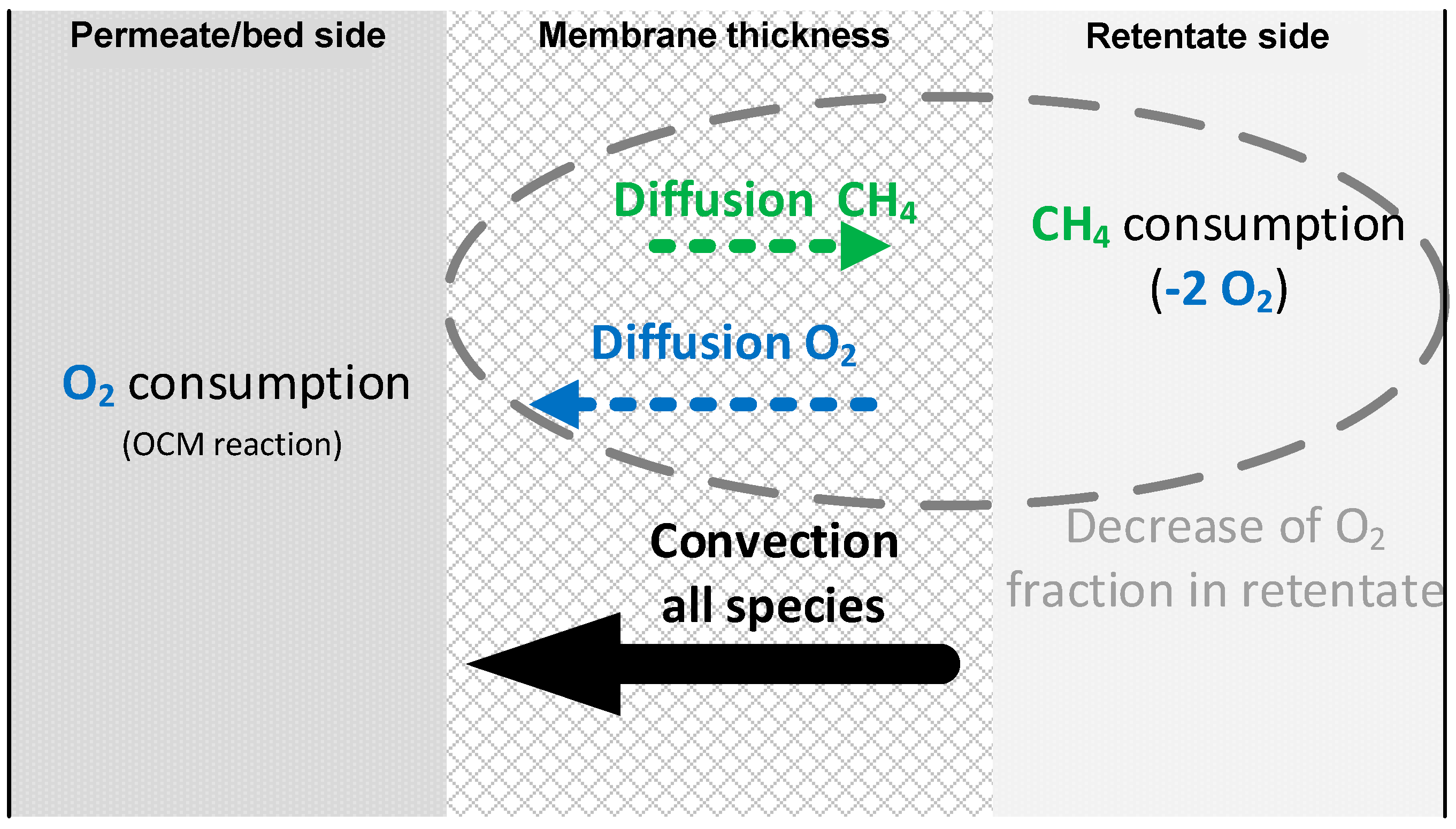 Membranes 10 00152 g009
