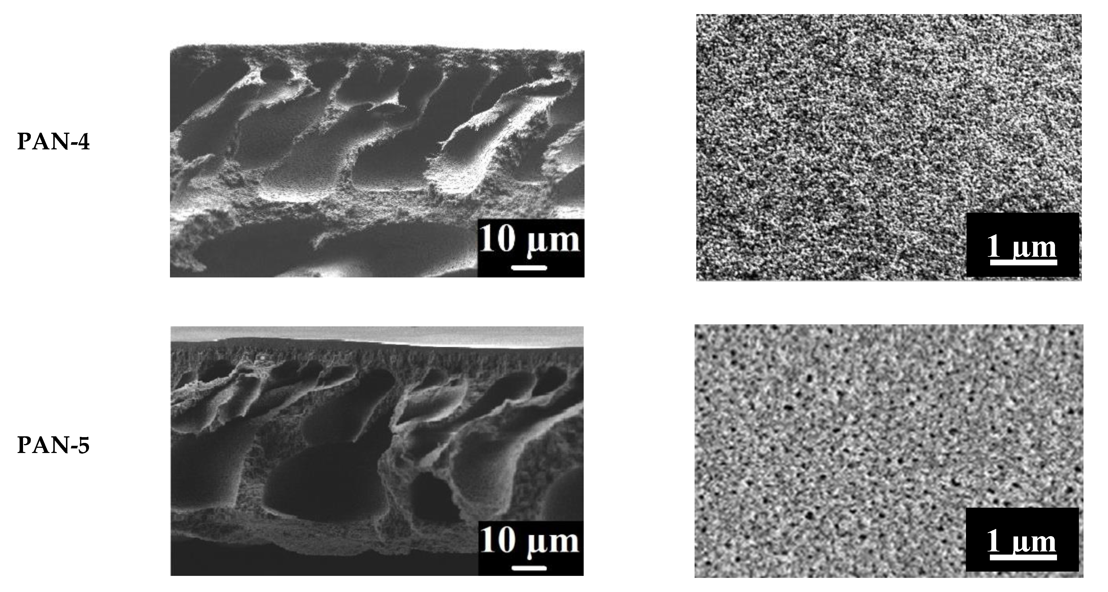 Membranes 10 00153 g004b Membranes 10 00153 g004b